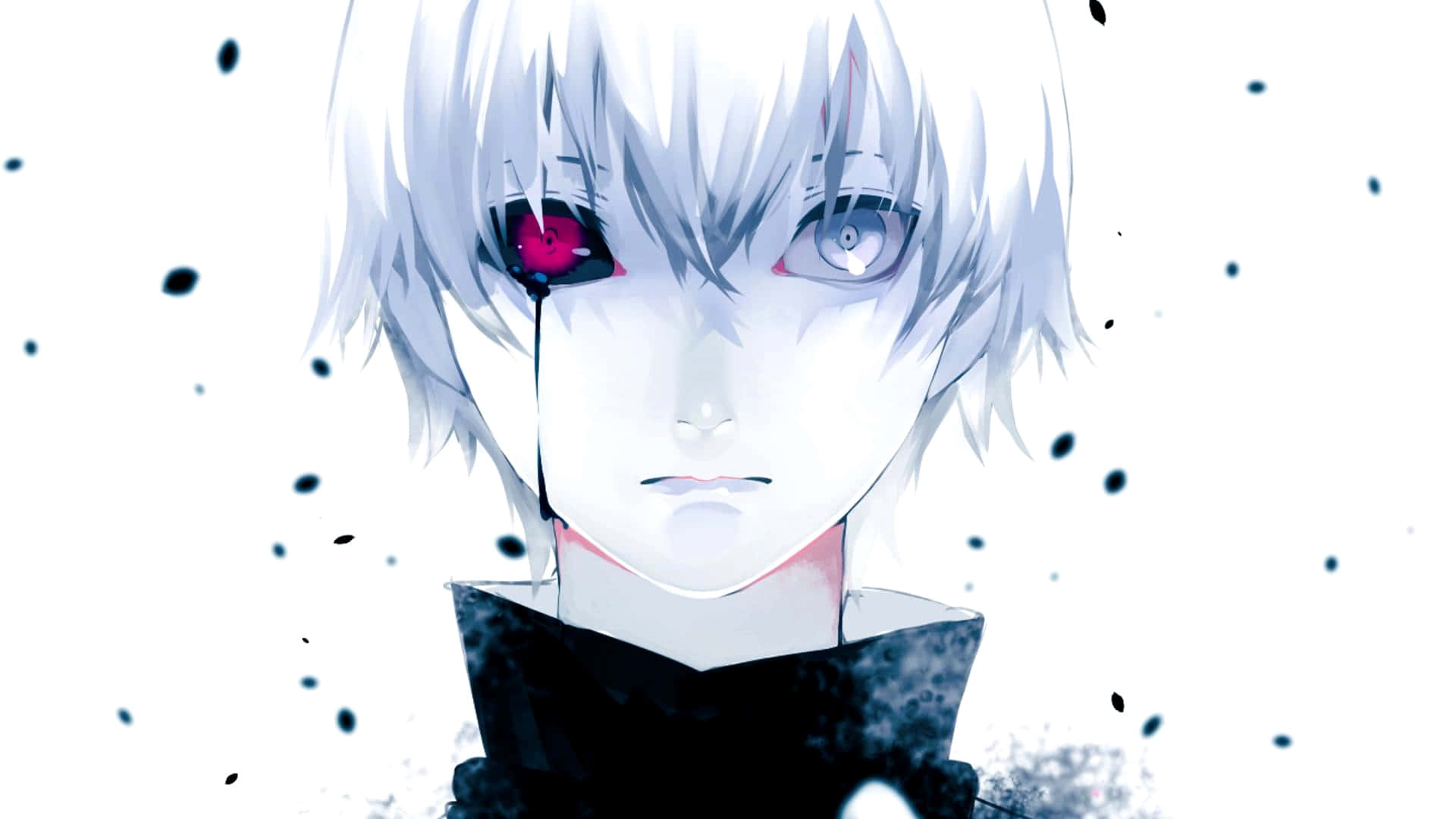 Ken Kaneki 桌布 壁紙 — 一個蒼白的動漫角色，白髮，異色瞳（一隻發紅光，一隻發藍光），在帶有黑色斑點的純白背景上流下一滴眼淚。