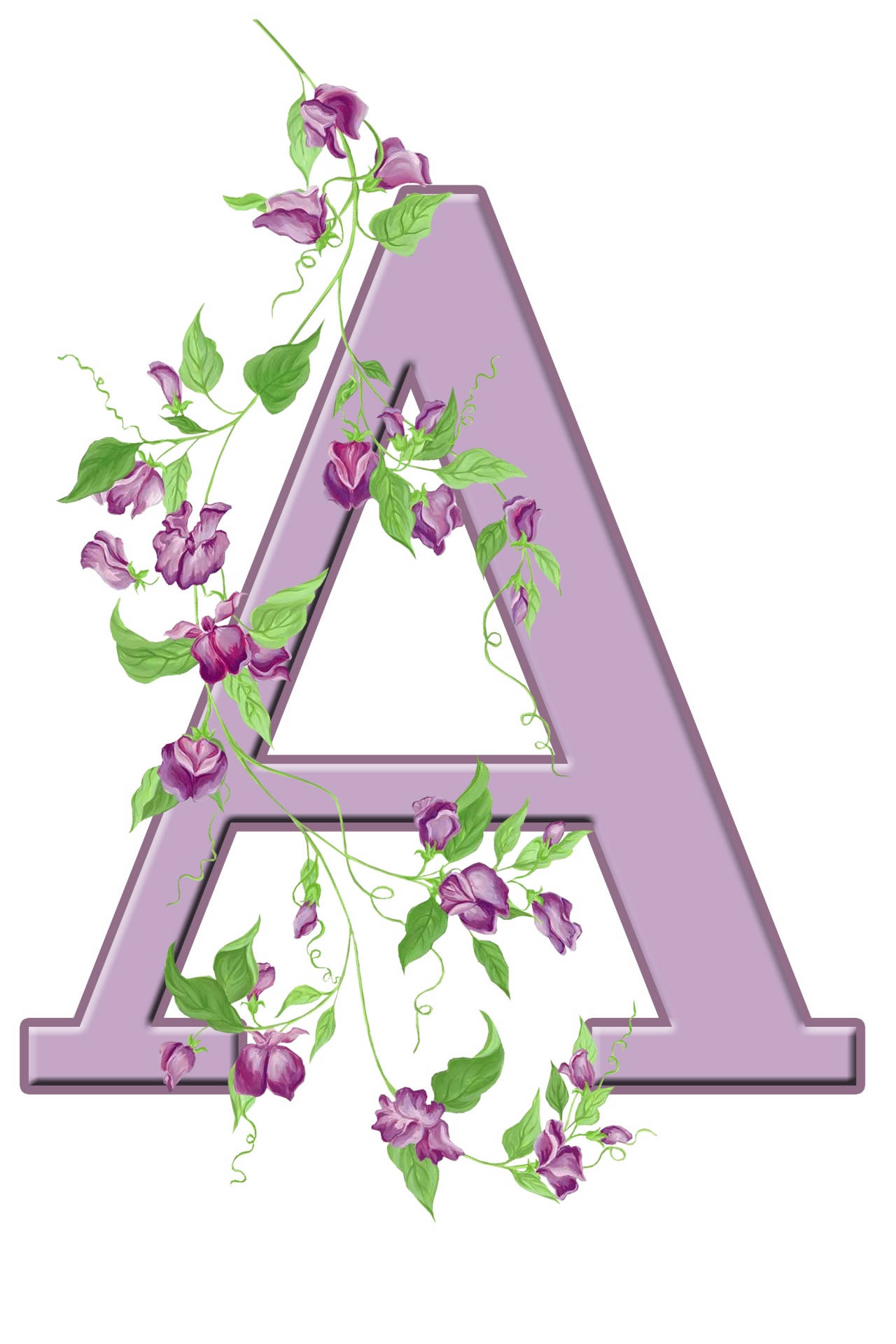 Letter A 桌布 壁紙 — 一個薰衣草色的字母A，點綴著攀爬的紫色花朵和綠色葉子，背景為白色。