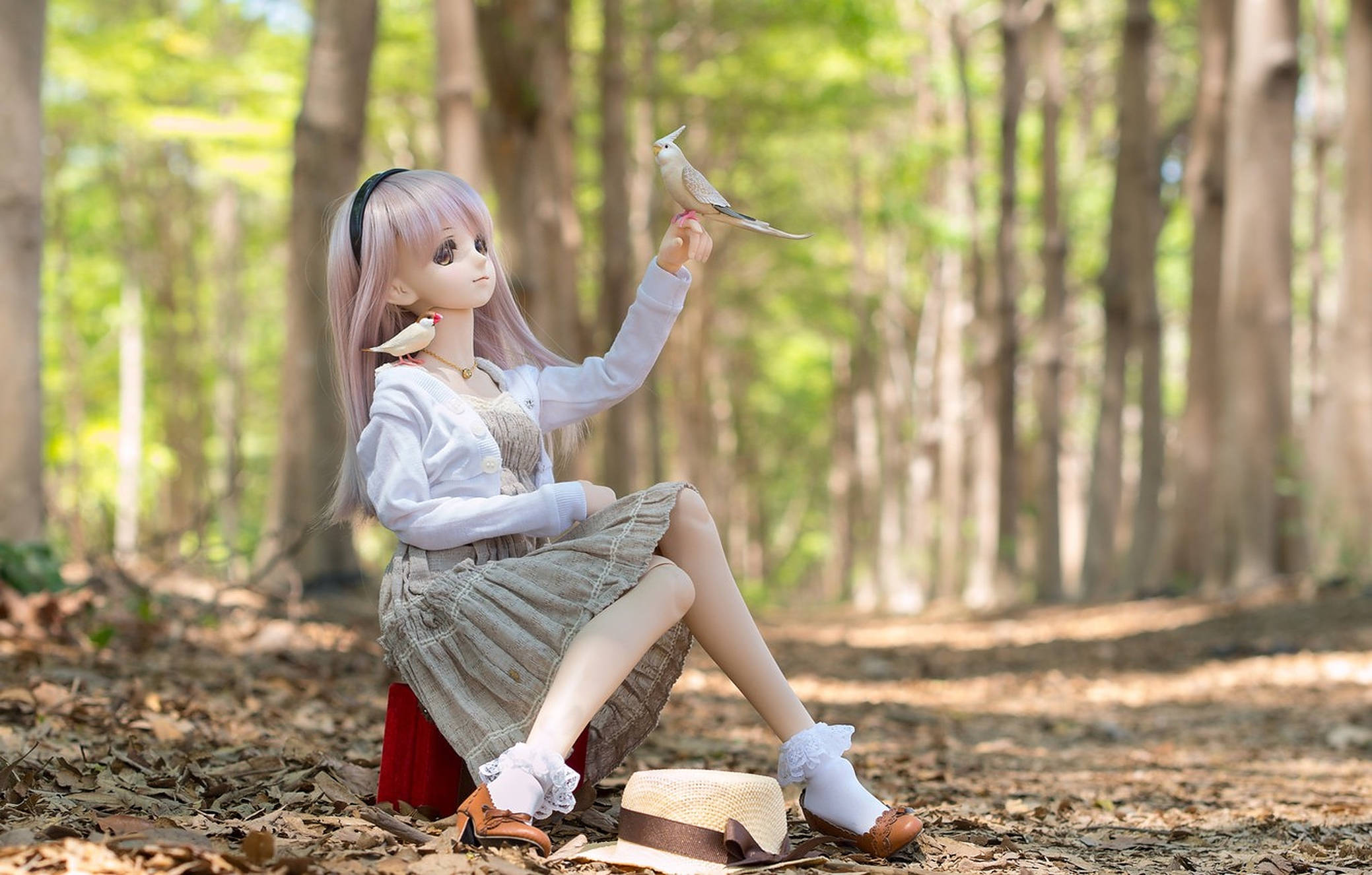 Doll 桌布 壁紙 — 一個薰衣草色頭髮的娃娃坐在陽光明媚的森林裡，輕輕地捧著一隻棲息在她手指上的小鳥。