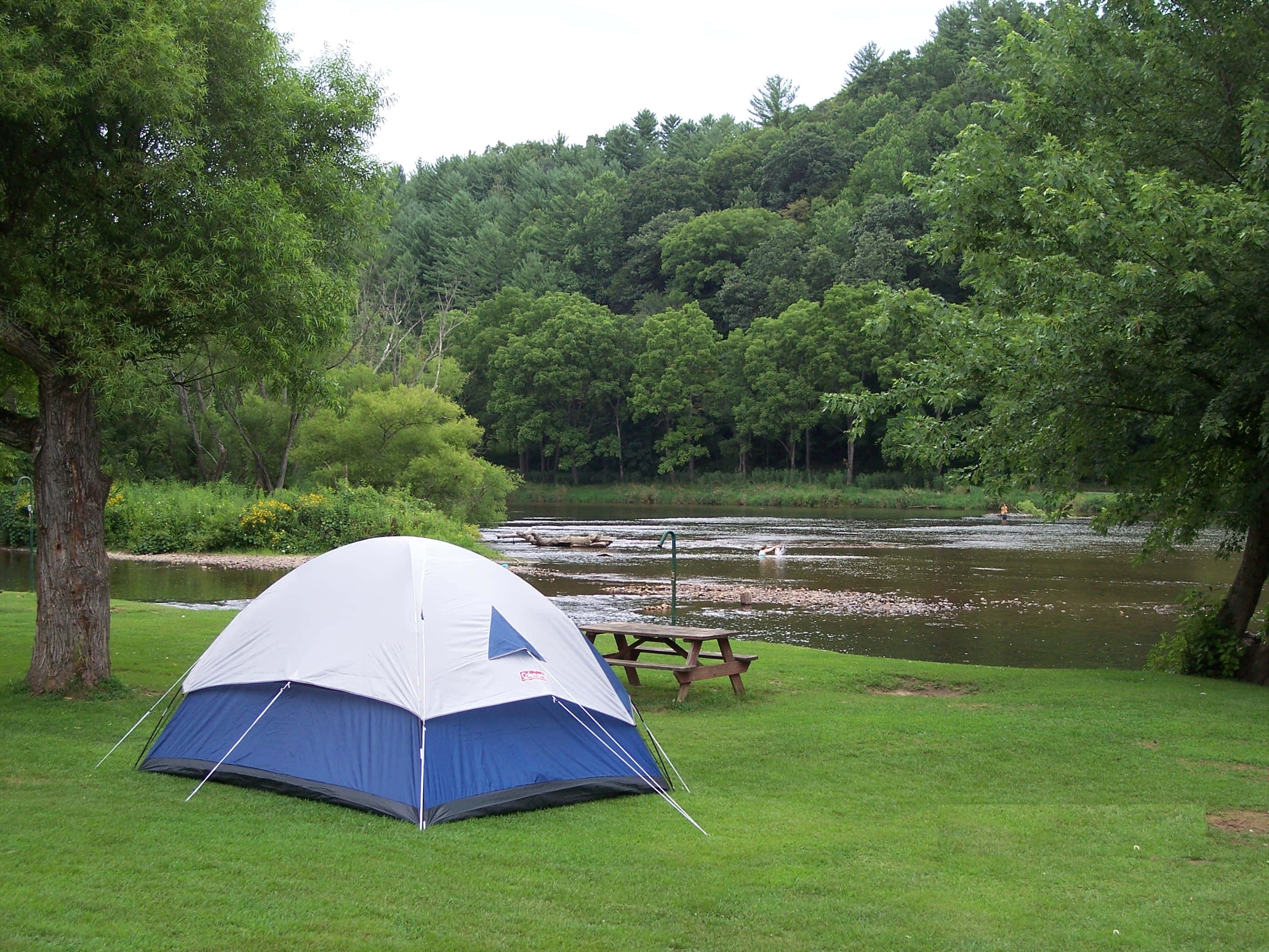 Camping 桌布 壁紙 — 一個藍白相間的圓頂帳篷坐落在茂密的綠草地上，旁邊是一條平靜的河流，四周被茂密的綠樹環繞。