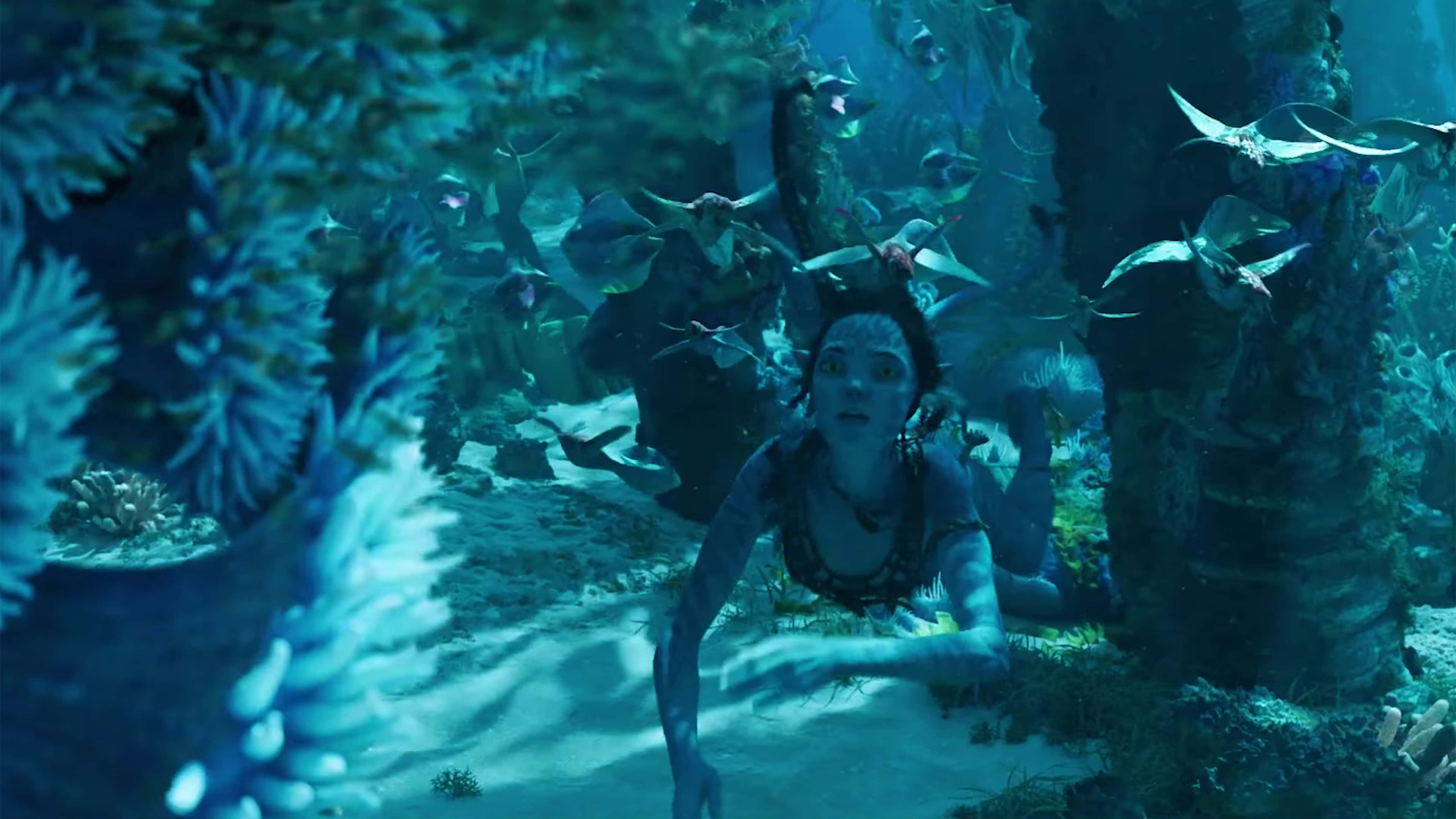 Avatar 2 The Way Of Water 桌布 壁紙 — 一個藍皮膚的納美人女性游過一個外星水下森林，其中有生物發光的植物和飛行生物。