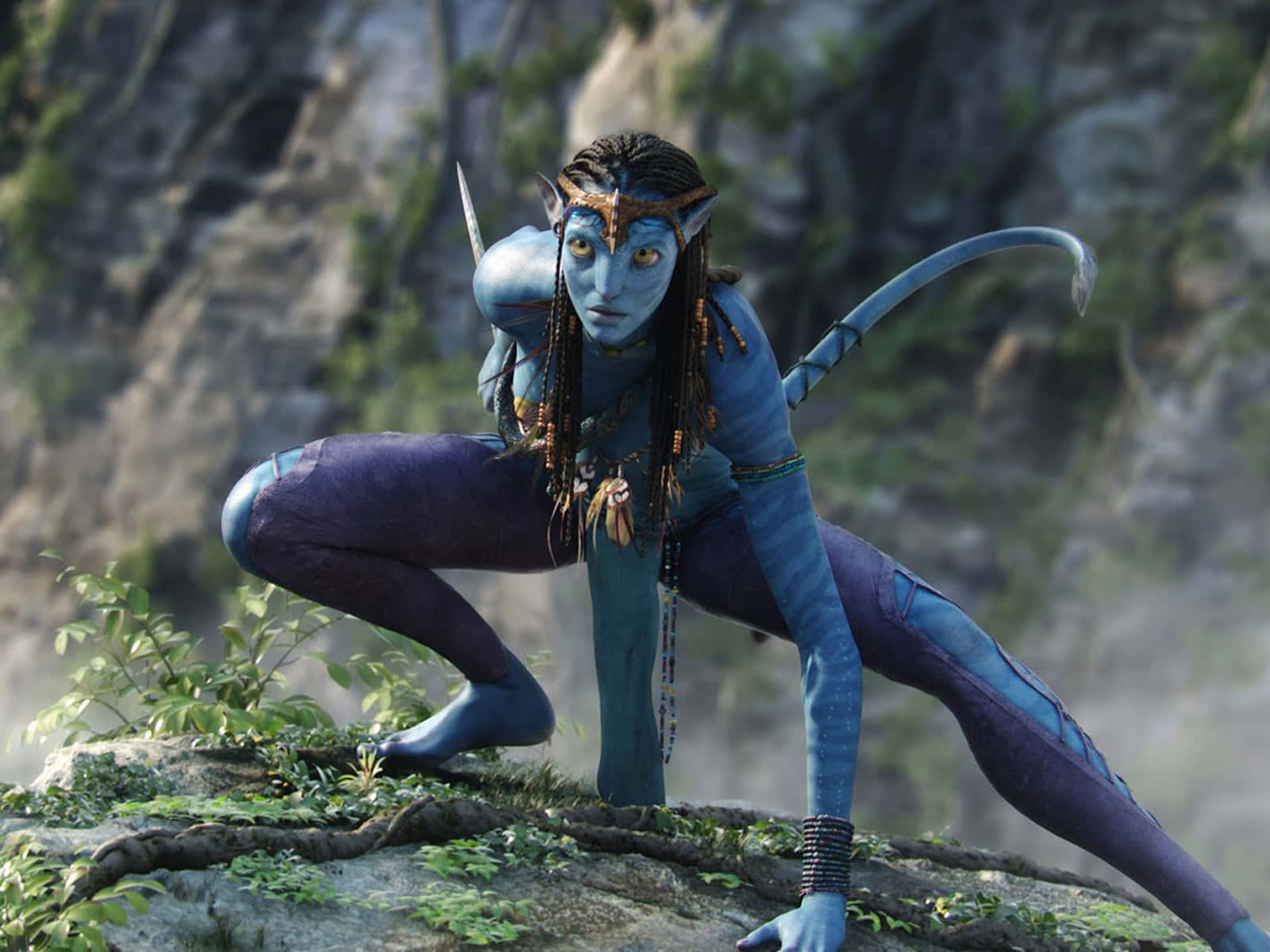 納美人戰士蹲在懸崖上，手持劍 — 頭像 GIF 壁紙