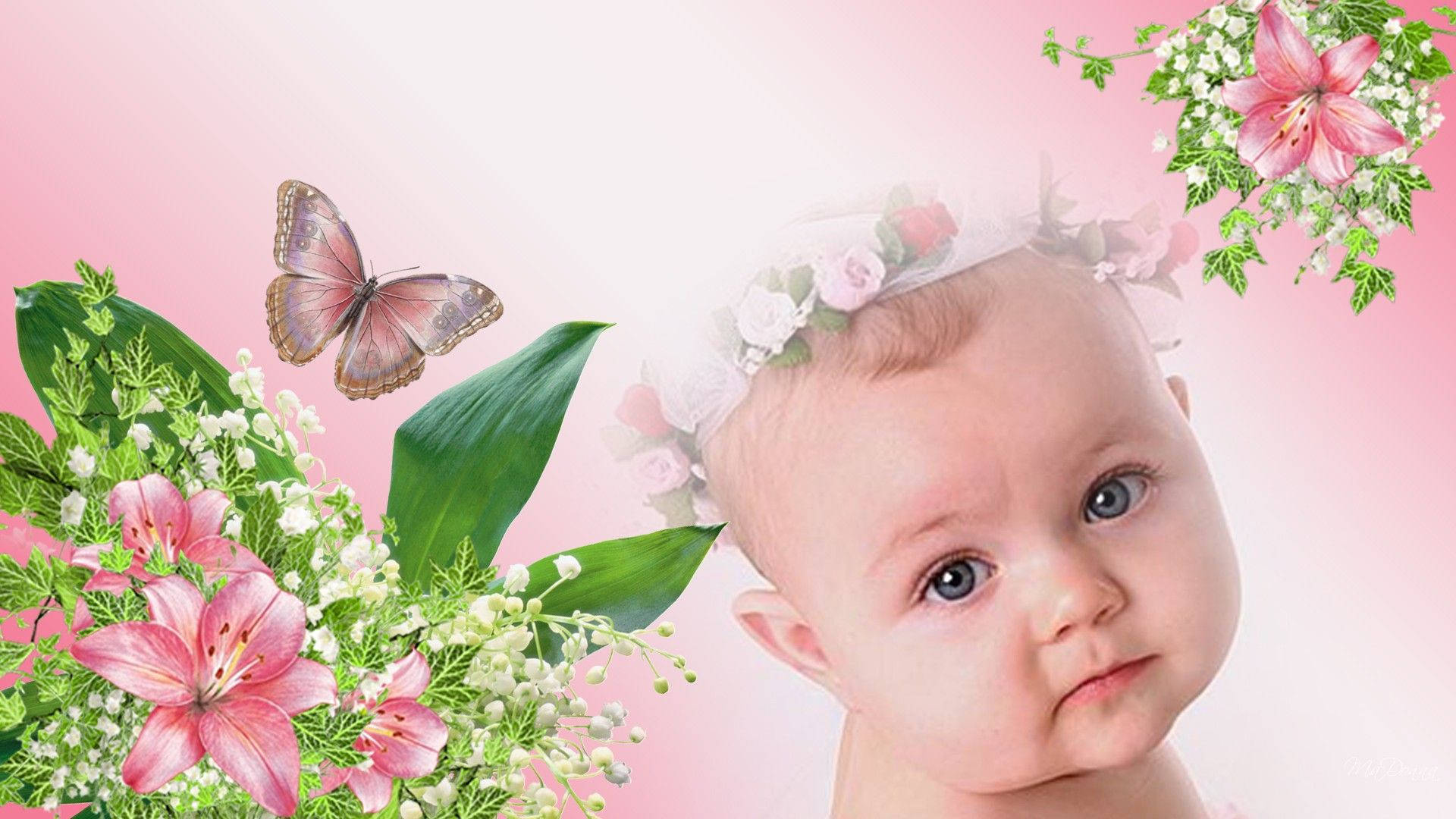 Baby 桌布 壁紙 — 一個藍眼睛的嬰兒戴著花冠，周圍環繞著粉紅色的百合花、綠葉和一隻蝴蝶，背景是柔和的粉紅色。