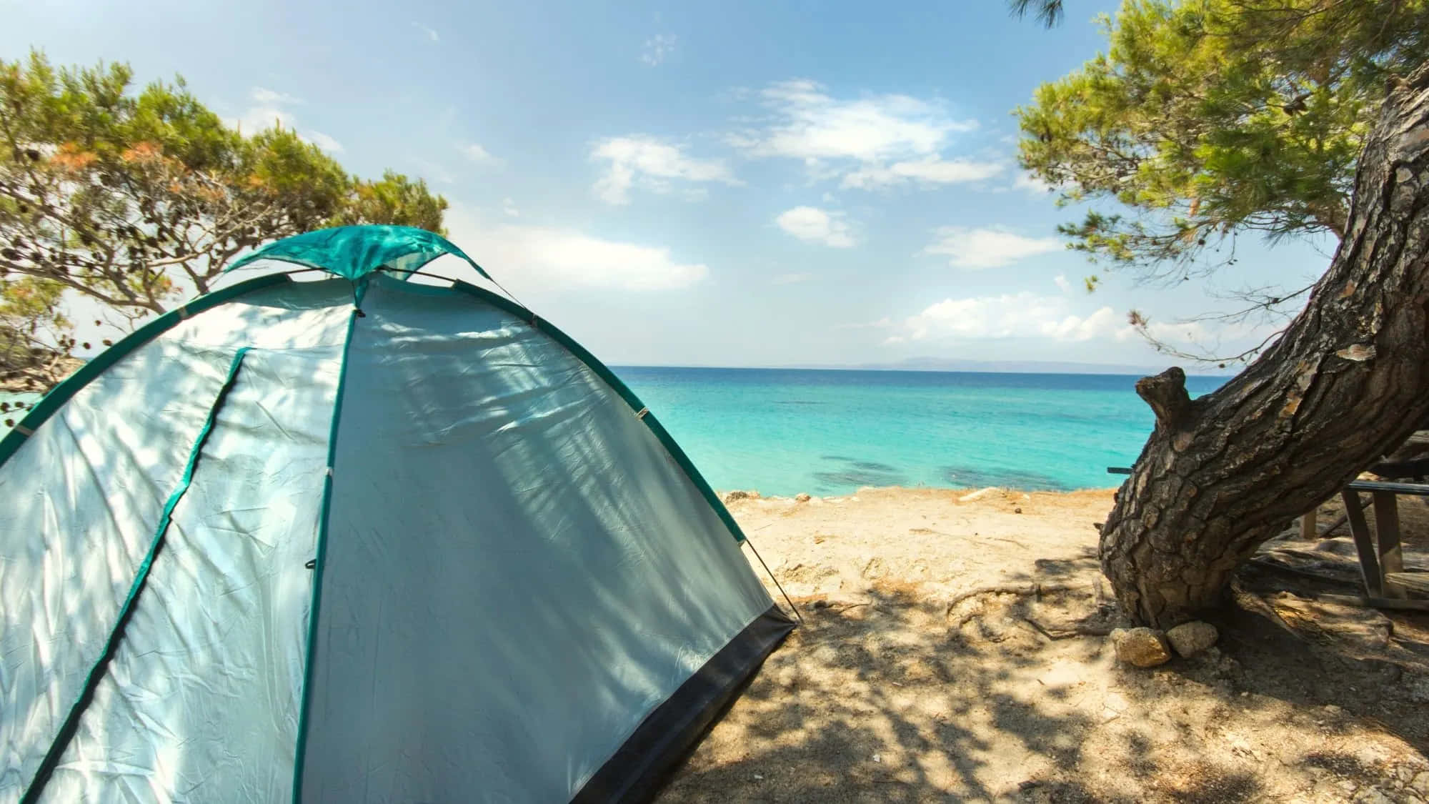 Beach Camping 桌布 壁紙 — 一個藍綠色和銀色的帳篷，坐落在松樹下，陽光普照的海灘上，碧綠色的海洋一直延伸到地平線。
