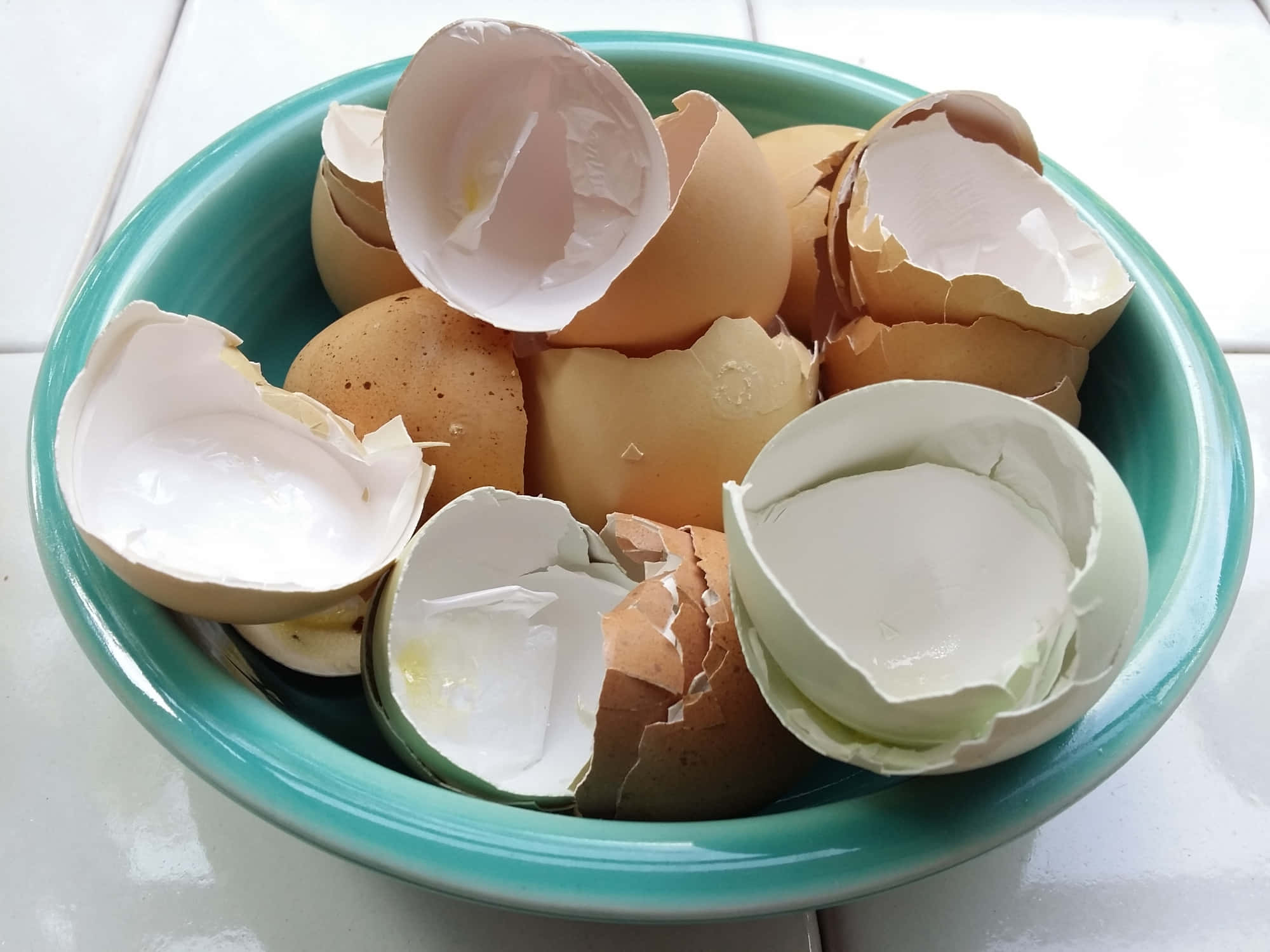Eggshell 桌布 壁紙 — 一個藍綠色碗裝滿破裂的蛋殼，放在白色瓷磚表面上。