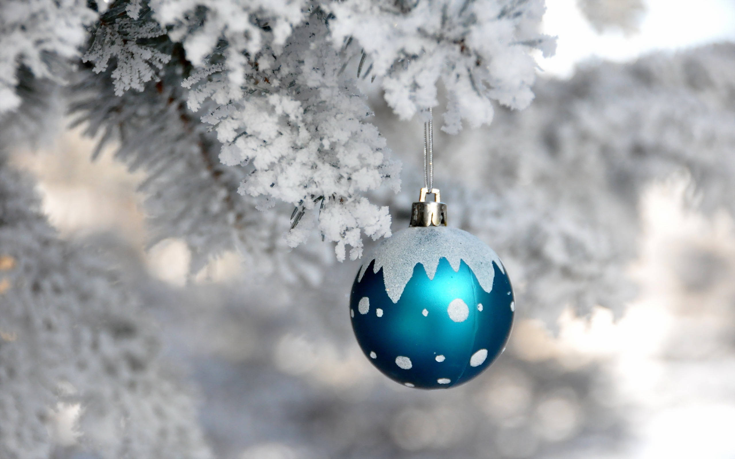 Snowy Christmas 桌布 壁紙 — 一個藍色、沾滿雪花的聖誕裝飾品掛在結霜的松樹枝上，背景是柔和模糊的冬日景色。