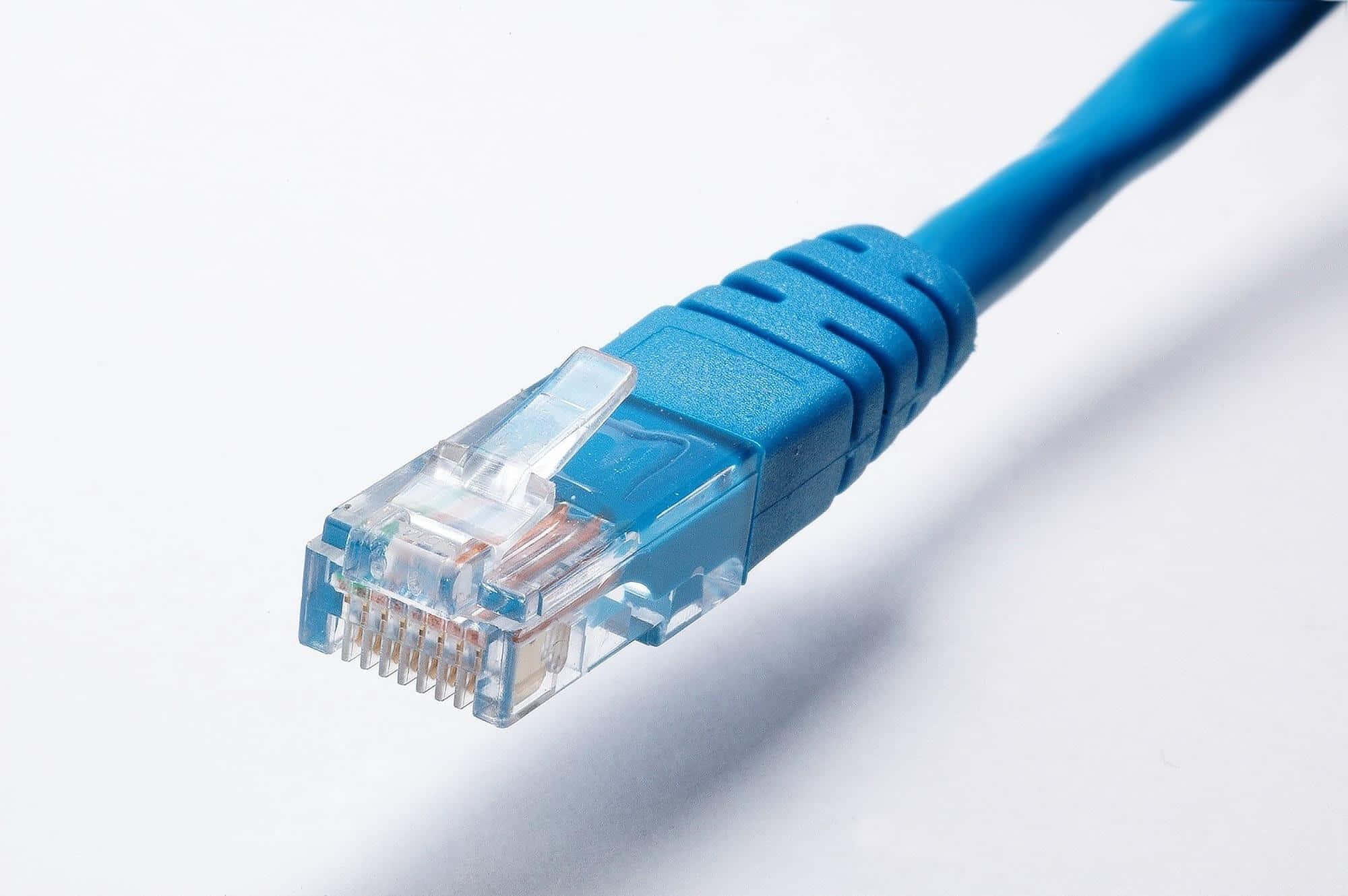 Ethernet 桌布 壁紙 — 一個藍色乙太網路線連接器在乾淨白色背景上的特寫。