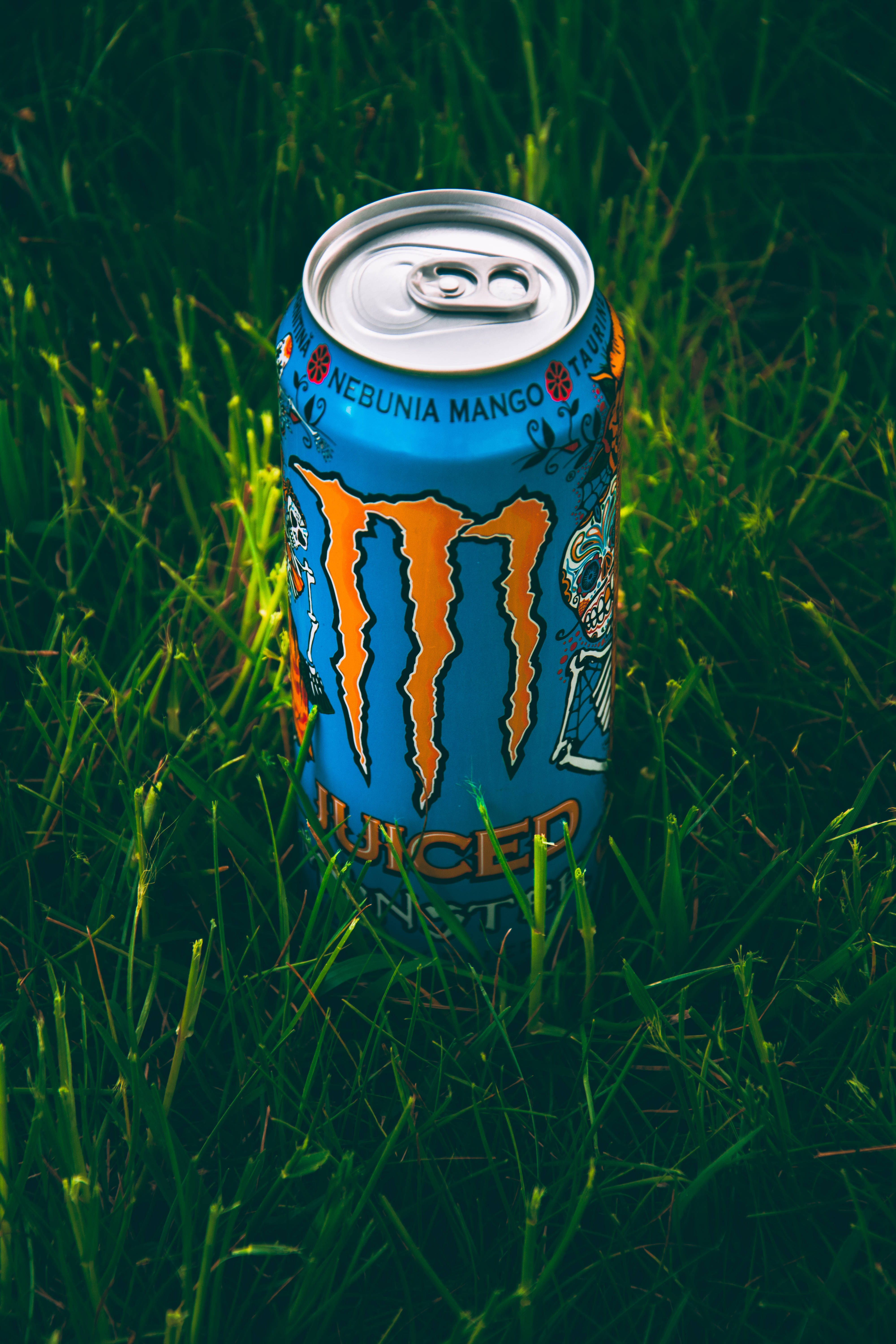 Monster Energy 桌布 壁紙 — 一個藍色和橙色的Monster Energy罐在自然光下直立於茂密的綠草中。