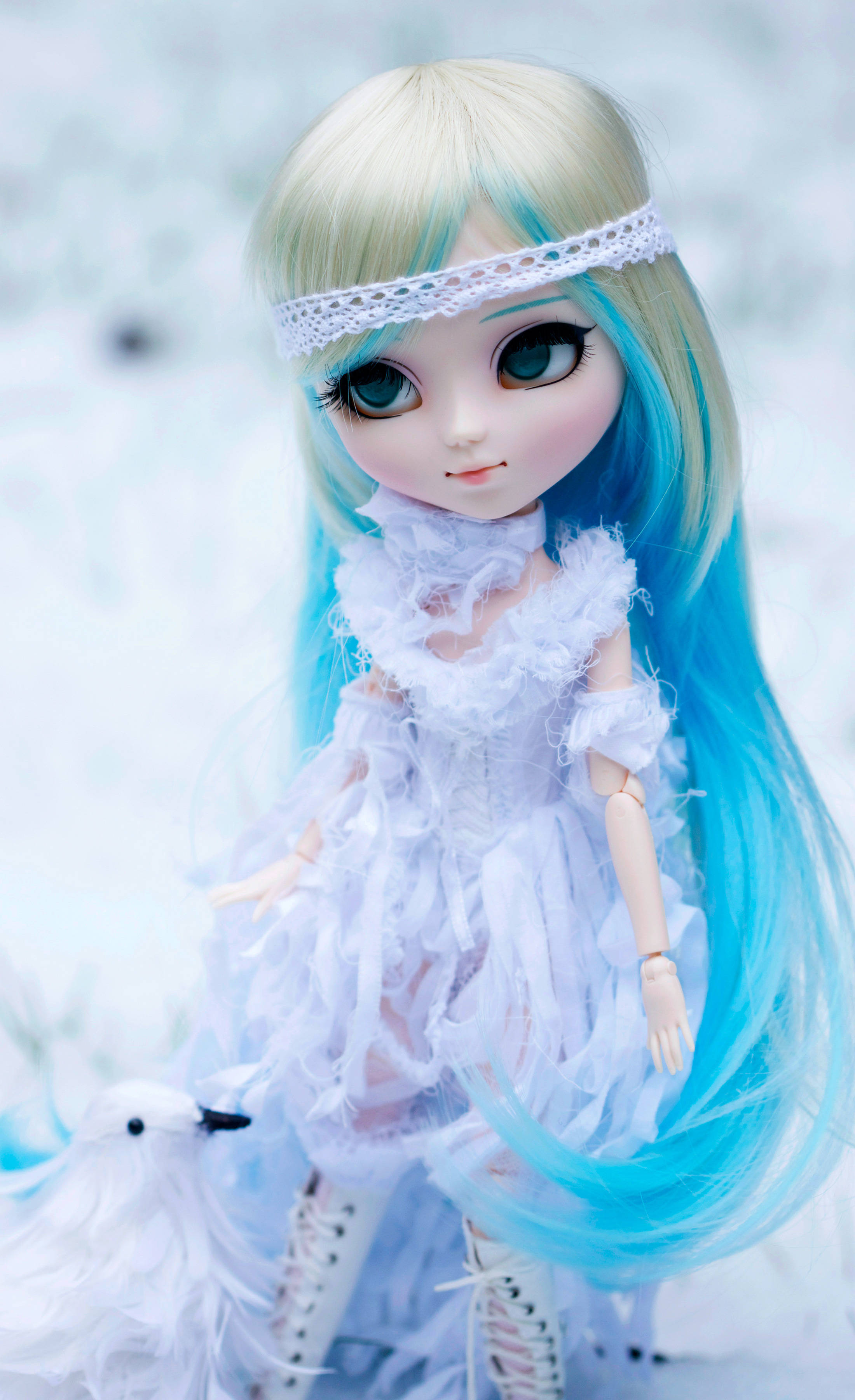 Doll 桌布 壁紙 — 一個藍色和金色頭髮的娃娃穿著白色蕾絲裙，站在雪景中一隻白色鳥旁邊。