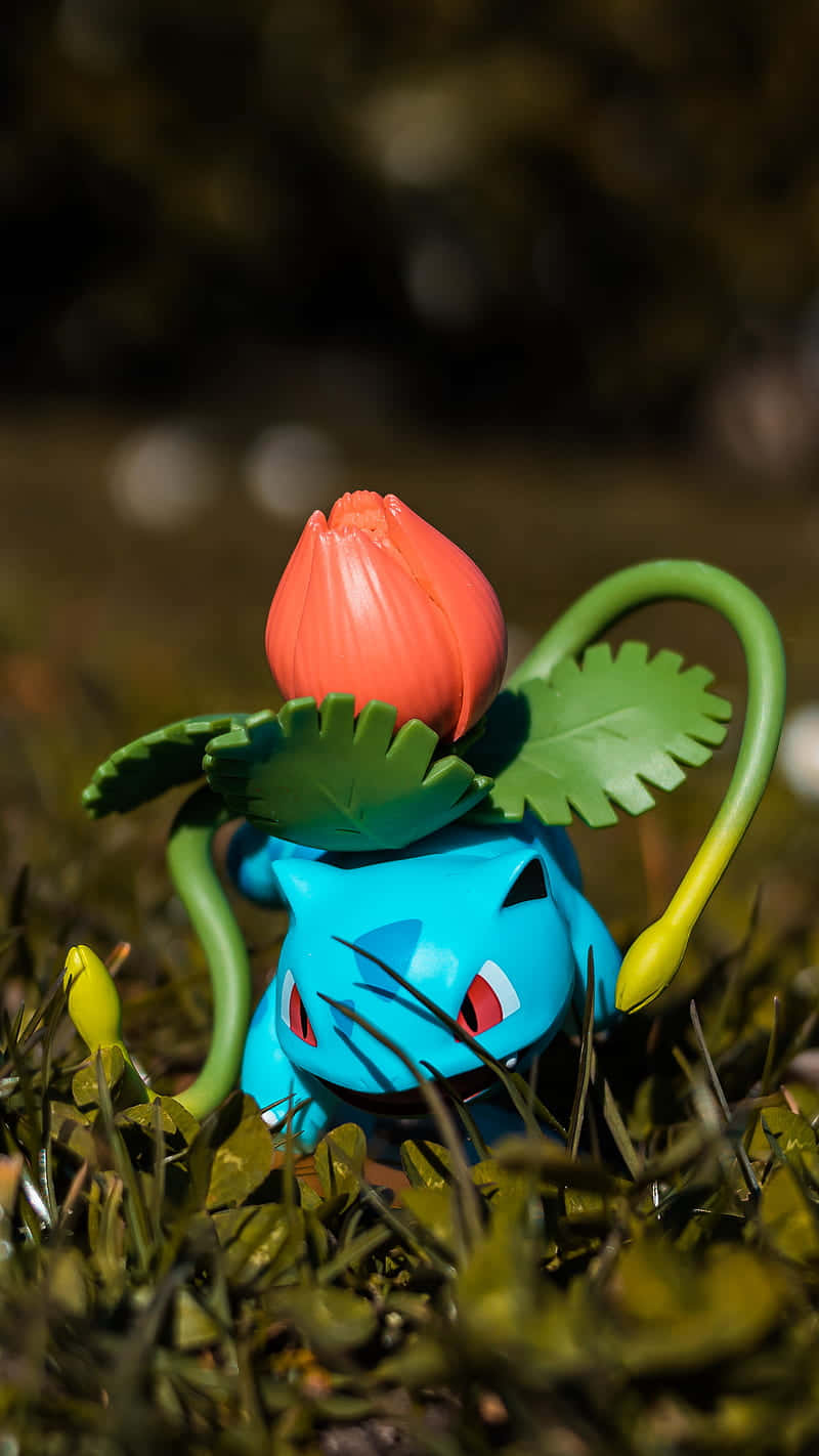 Pokemon Figures 桌布 壁紙 — 一個藍色妙蛙種子玩具，帶有紅色花朵和綠色葉子，坐在溫暖陽光下的草地上。