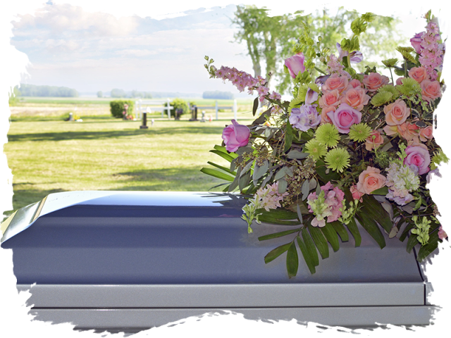 Funeral 桌布 壁紙 — 一個藍色棺材飾以鮮豔的花藝佈置，在晴朗天空下的陽光墓園中安放。