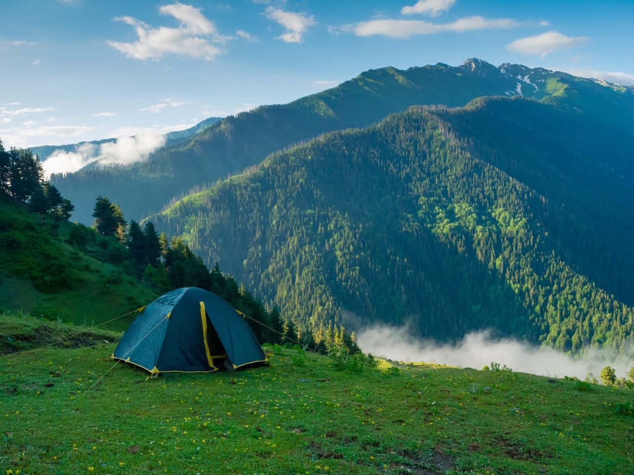 Camping 桌布 壁紙 — 一個藍色露營帳篷坐落於陽光明媚的草地上，俯瞰著霧氣繚繞的森林山脈，天空湛藍，白雲點綴。