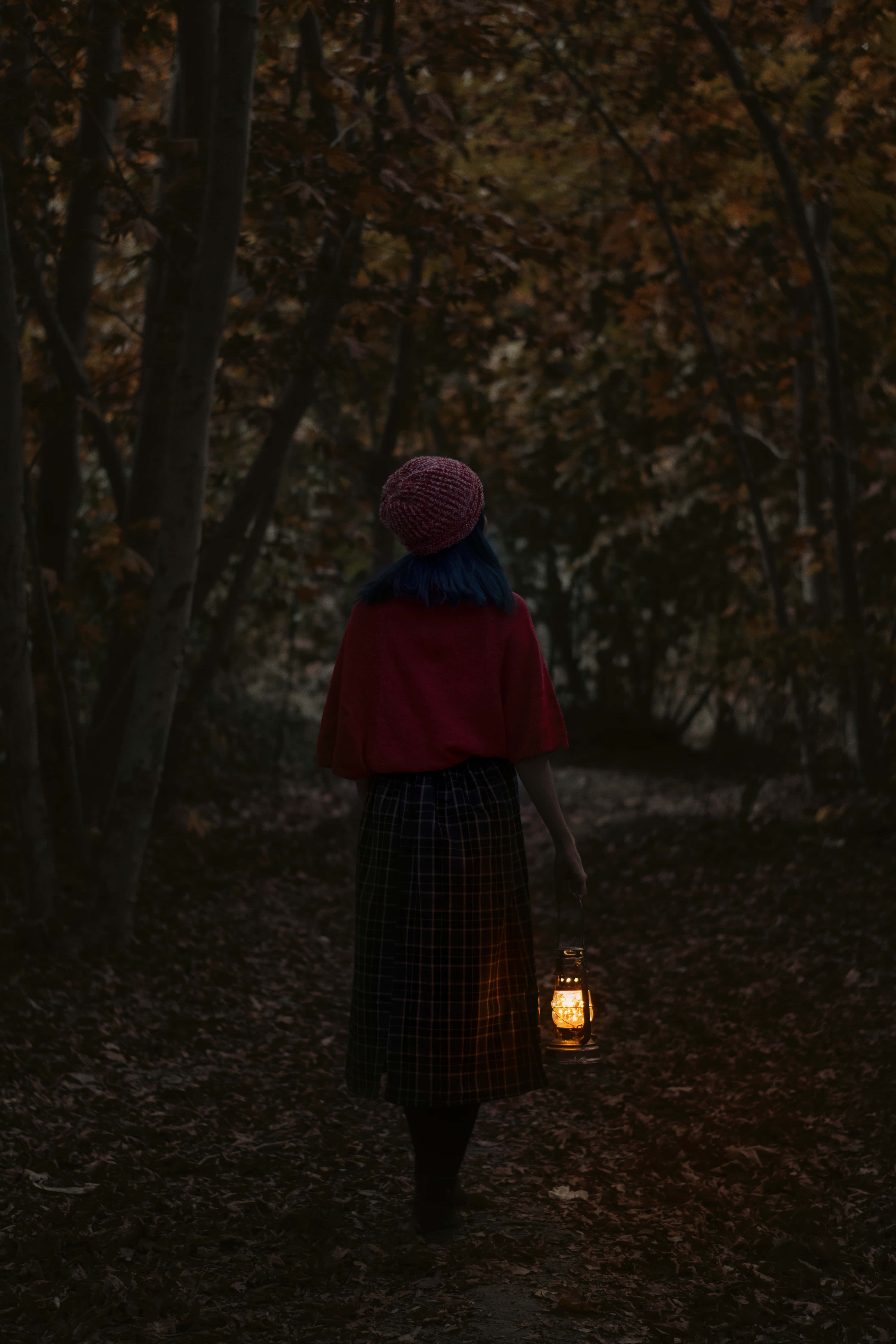 Woman 桌布 壁紙 — 一個藍色頭髮、戴紅色帽子的人，手持發光燈籠，走過昏暗的秋日森林。