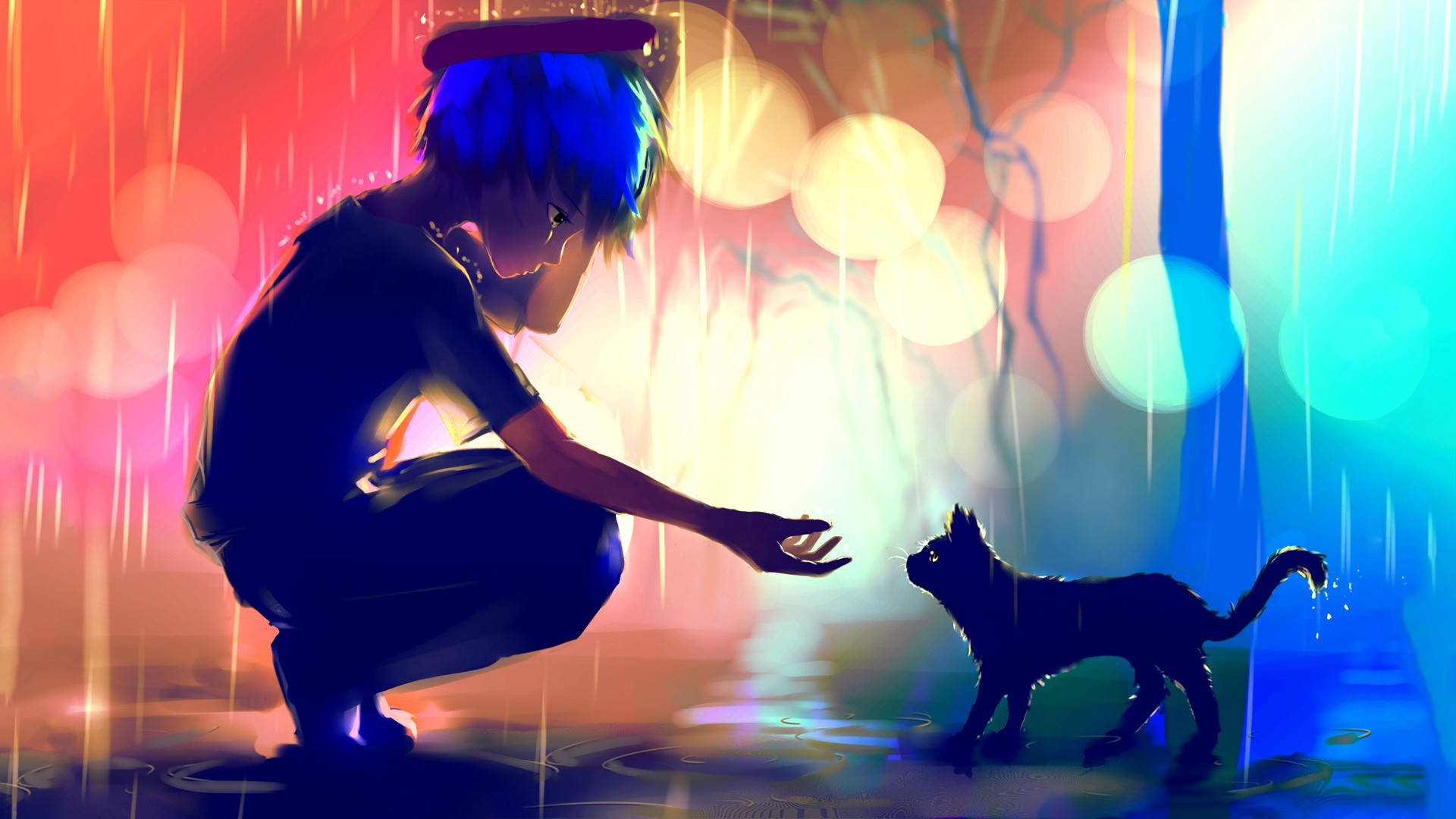 Anime Desktop 桌布 壁紙 — 一個藍髮動漫男孩蹲在雨中，溫柔地伸手去碰一隻小黑貓，背景是充滿活力的散景燈光。