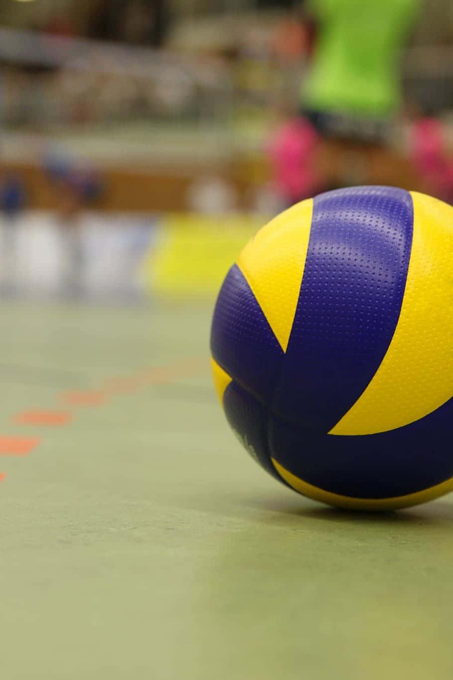 Volleyball Ball 桌布 壁紙 — 一個藍黃色排球的特寫，放置在綠色室內球場上，背景有模糊的球員。