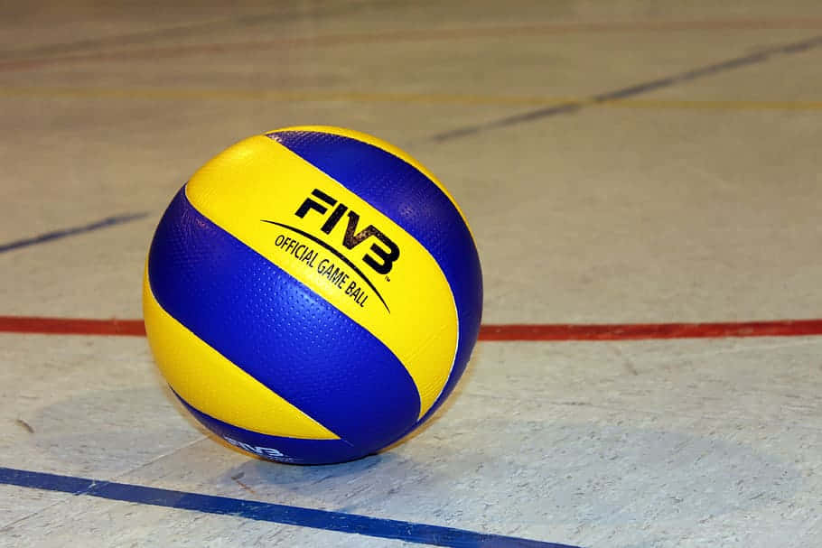 Volleyball Ball 桌布 壁紙 — 一個藍黃色的FIVB官方排球放在有標記的室內球場地板上。