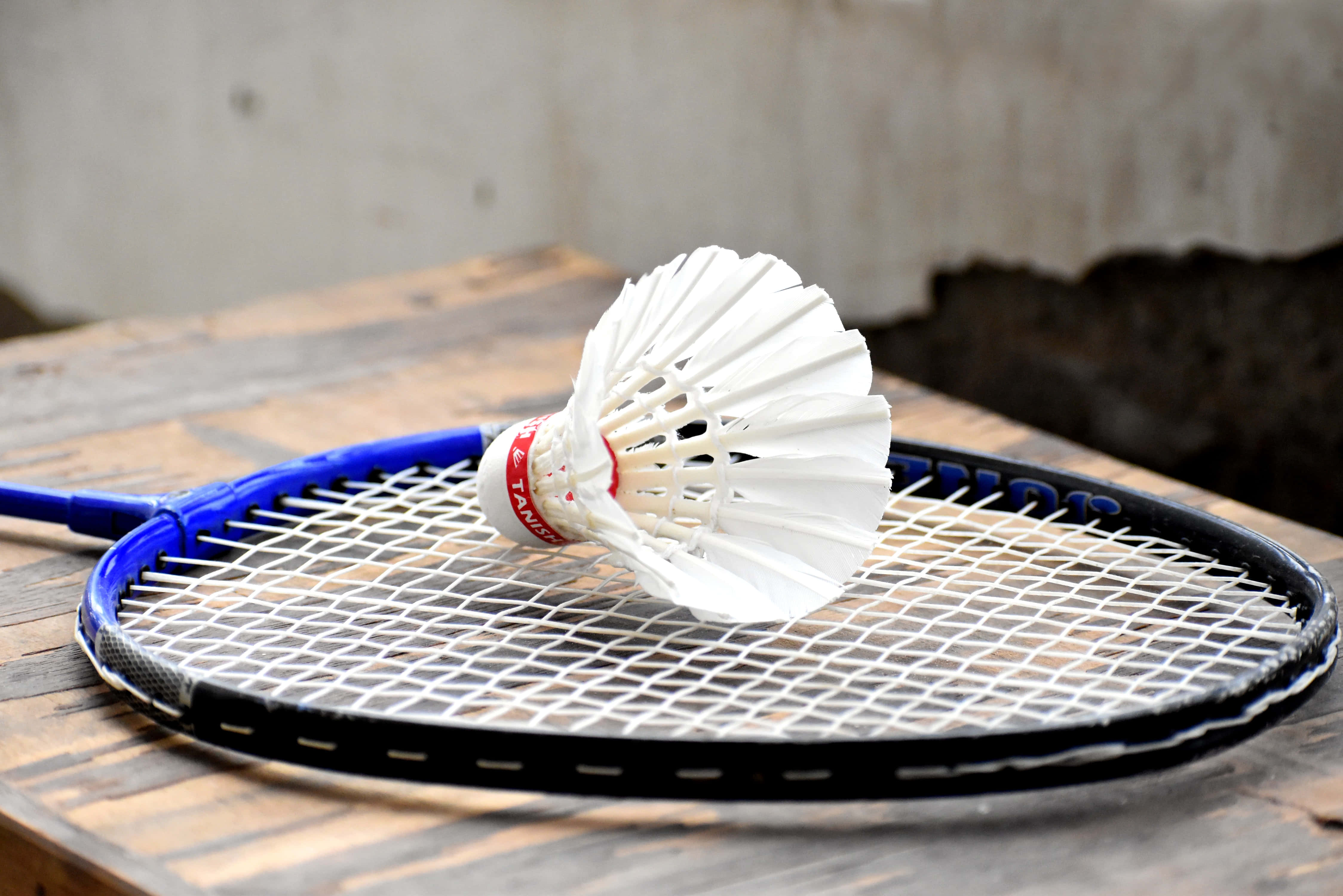 Badminton 桌布 壁紙 — 一個藍黑色羽毛球拍，上面有一個白色羽毛球擱在拍線上，放在一張經風化的木桌上。