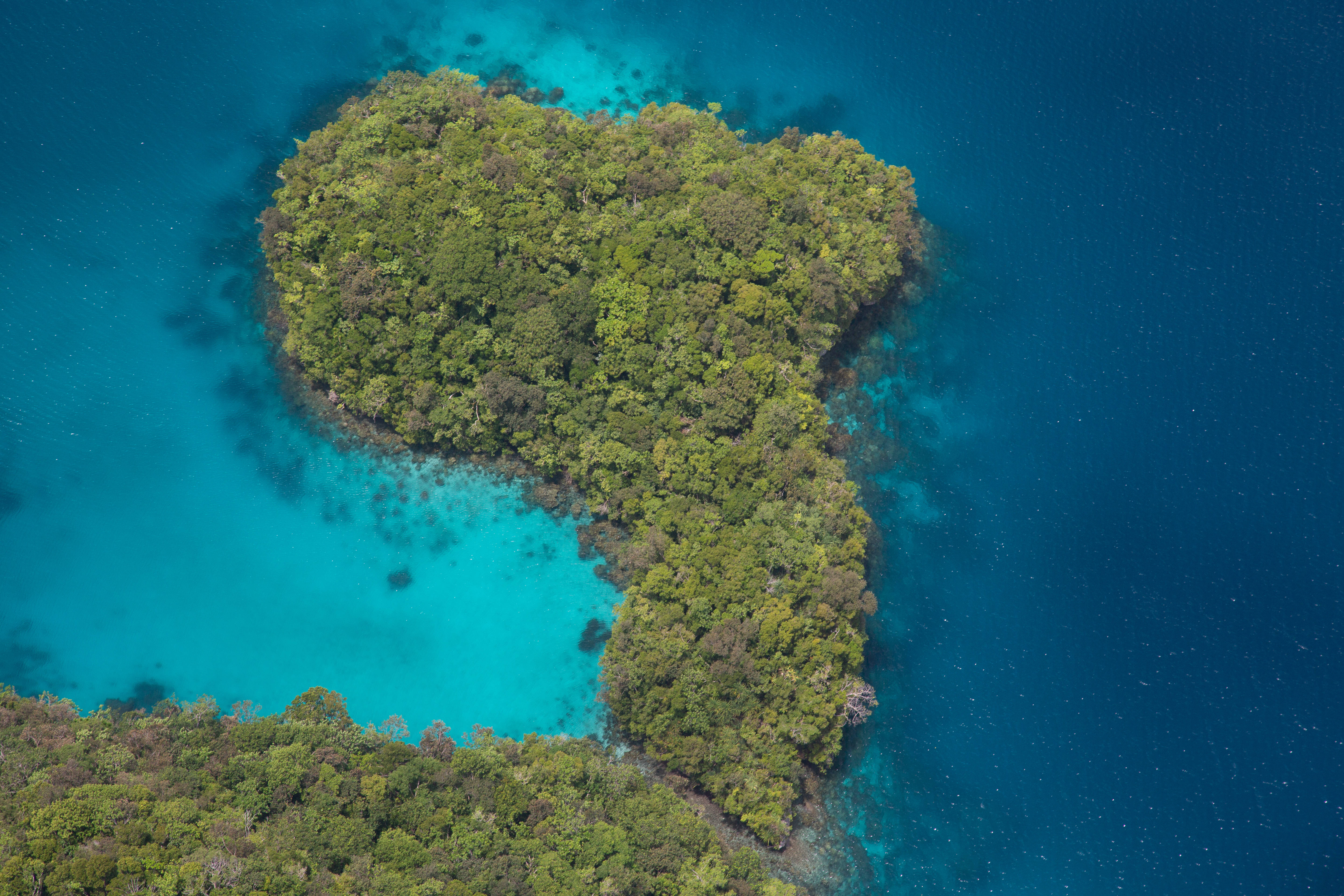 Palau 桌布 壁紙 — 一個被充滿活力的藍綠色和深藍色海水包圍的心形茂密綠色島嶼的鳥瞰圖。