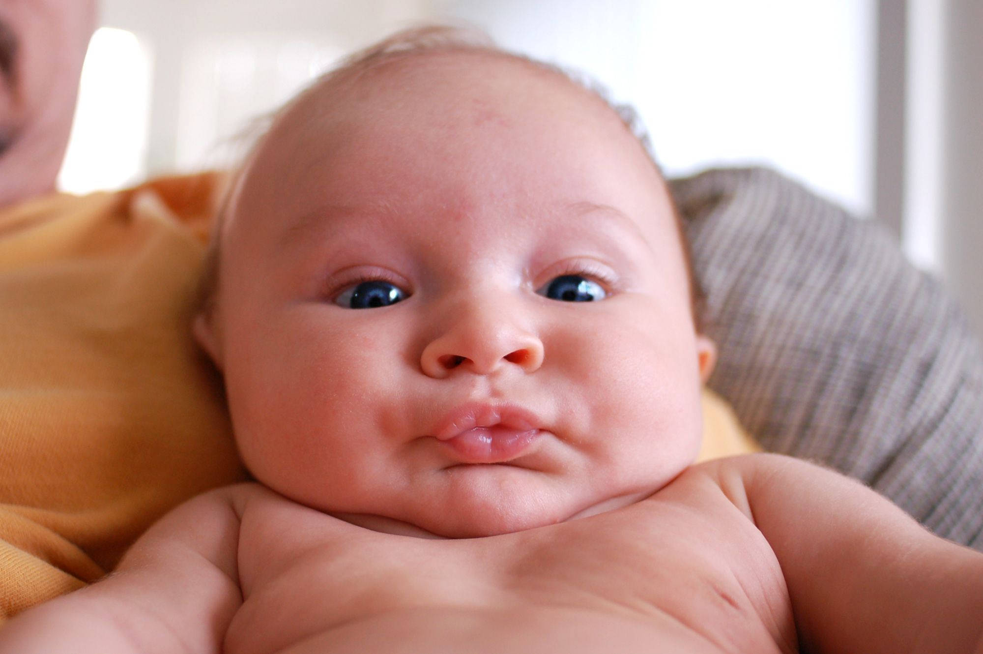 Funny Baby 桌布 壁紙 — 一個被抱著的寶寶特寫，擁有明亮藍色眼睛，好奇地看著鏡頭。