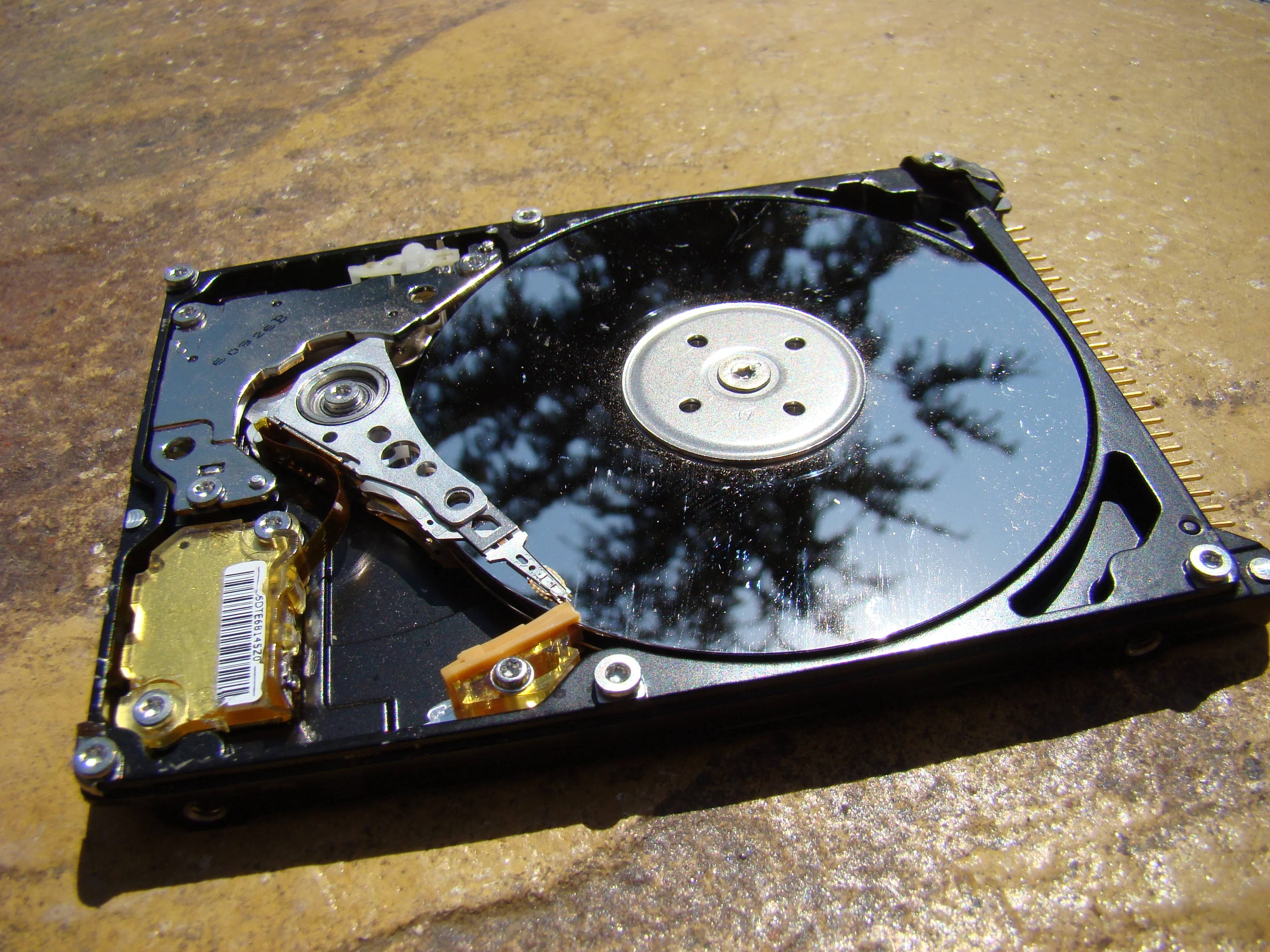 Hard Drive 桌布 壁紙 — 一個被拆解的硬碟打開放在粗糙的混凝土表面上，在明亮的陽光下反射樹影。
