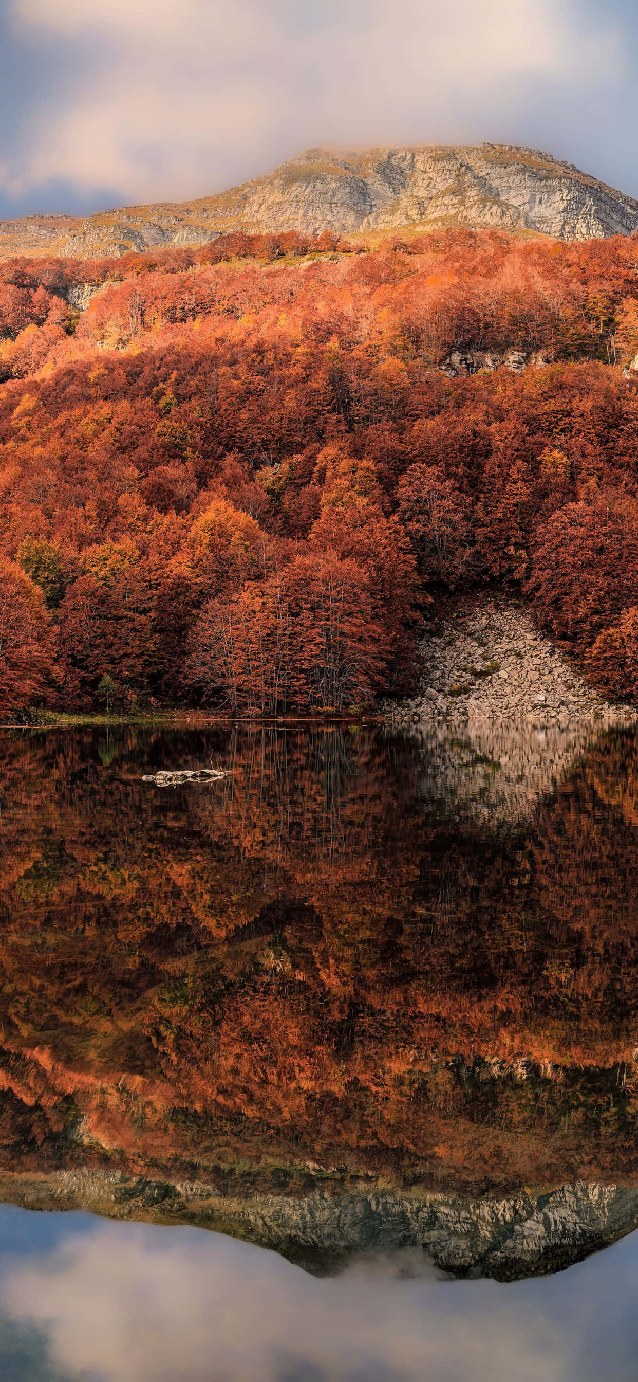 iPhone Xs Max Autumn 桌布 壁紙 — 一個被火紅橙色秋樹覆蓋的山坡，在多雲的天空下完美地倒映在平靜的湖面上。