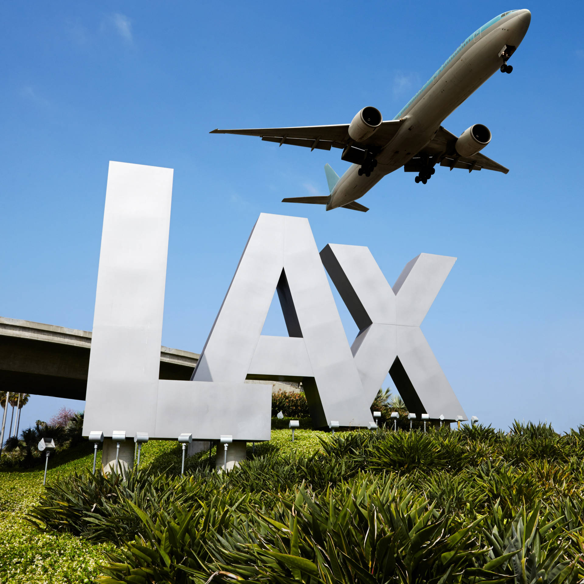加州 桌布 壁紙 — 一個被綠化包圍的大型銀色LAX標誌，一架商用飛機在晴朗的藍天中飛過。