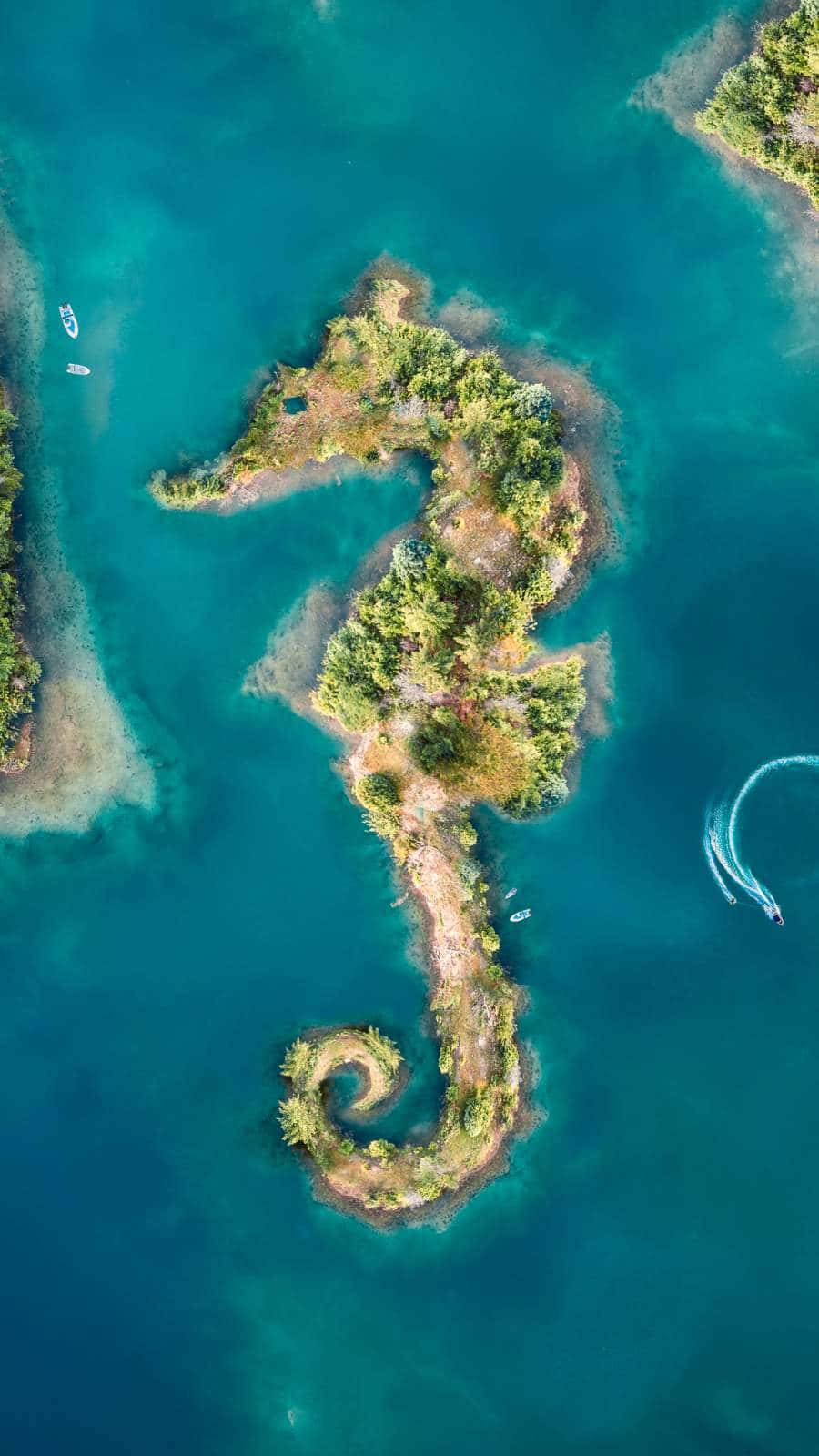 海馬 桌布 壁紙 — 一個被綠色植物覆蓋、天然海馬形狀的島嶼的鳥瞰圖，周圍是碧綠的海水，附近有船隻。