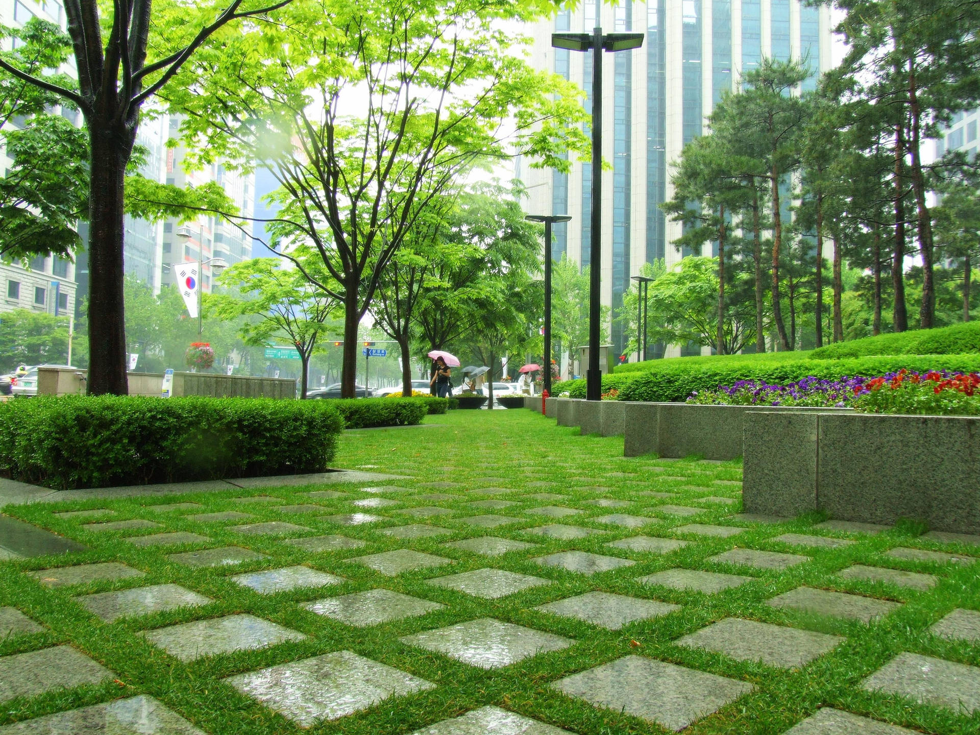 Peaceful 桌布 壁紙 — 一個被雨水浸濕的城市公園，有棋盤格石徑、茂密的綠樹，以及人們撐著雨傘在現代摩天大樓附近行走。