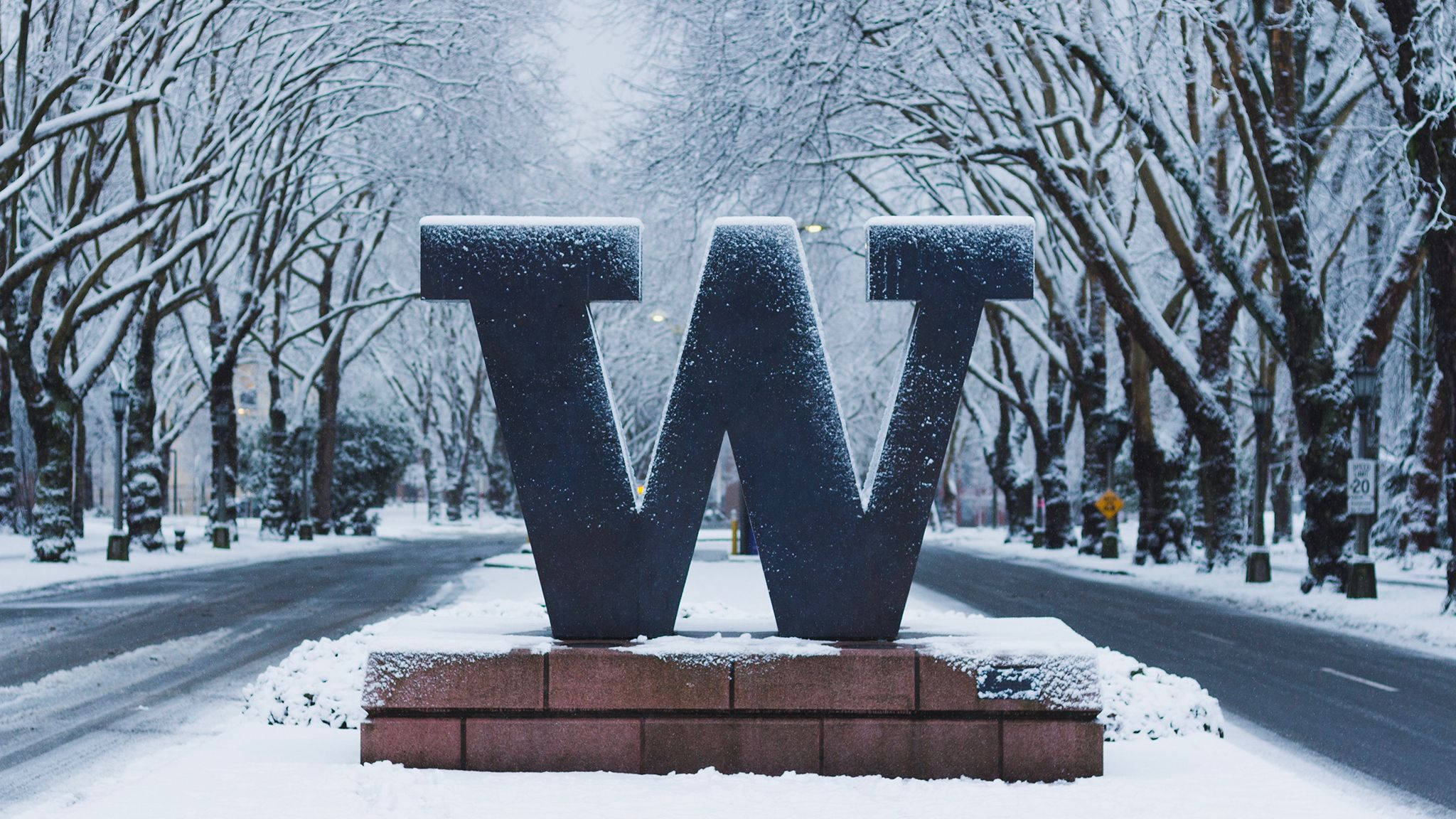 雪 桌布 壁紙 — 一個被雪覆蓋的大型字母W矗立在磚砌基座上，位於一條積雪且兩旁種滿樹木的街道中央。