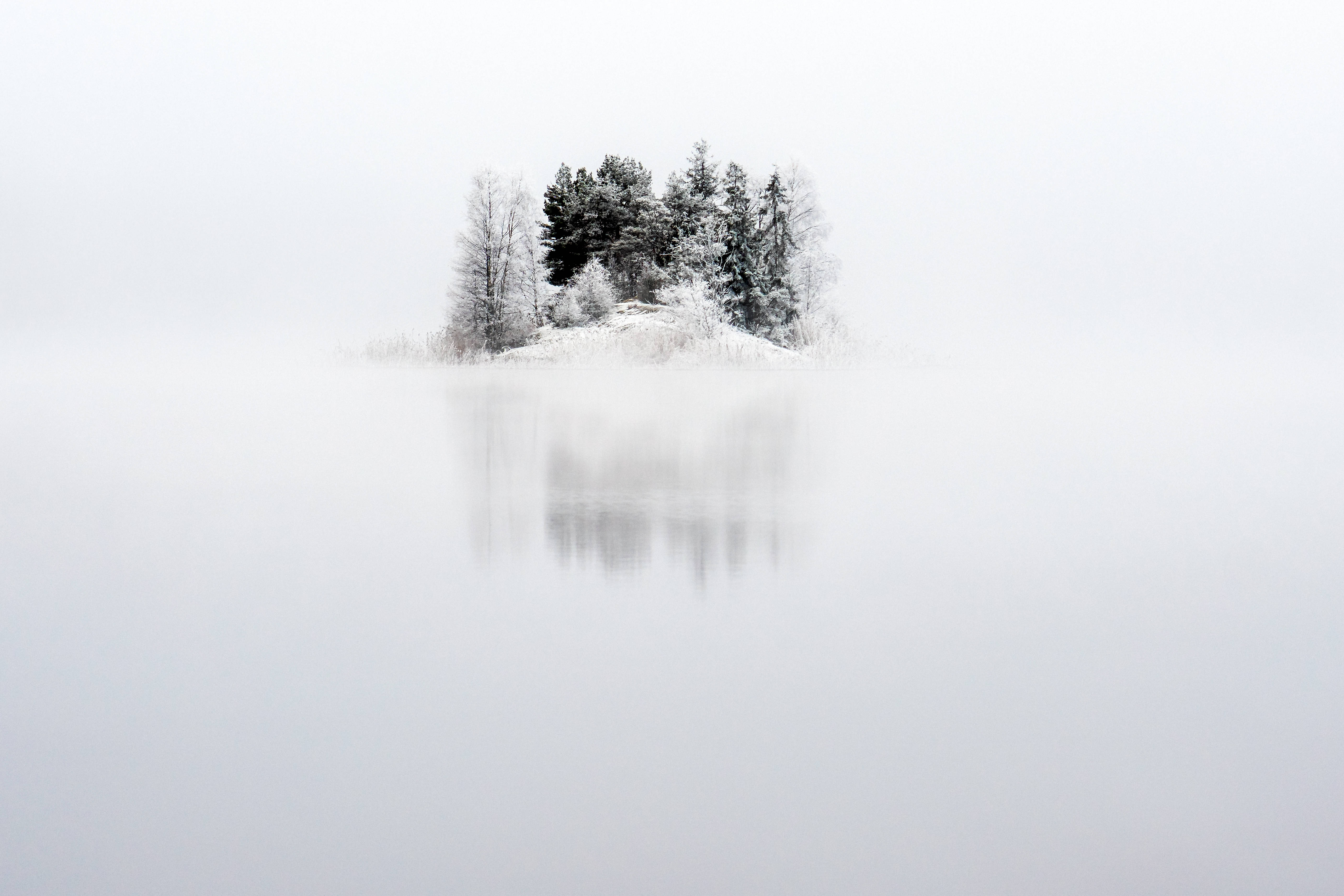 Sweden 桌布 壁紙 — 一個被雪覆蓋的小島，長滿常青樹，靜靜地矗立在霧氣瀰漫的湖中，倒影因霧氣而模糊。
