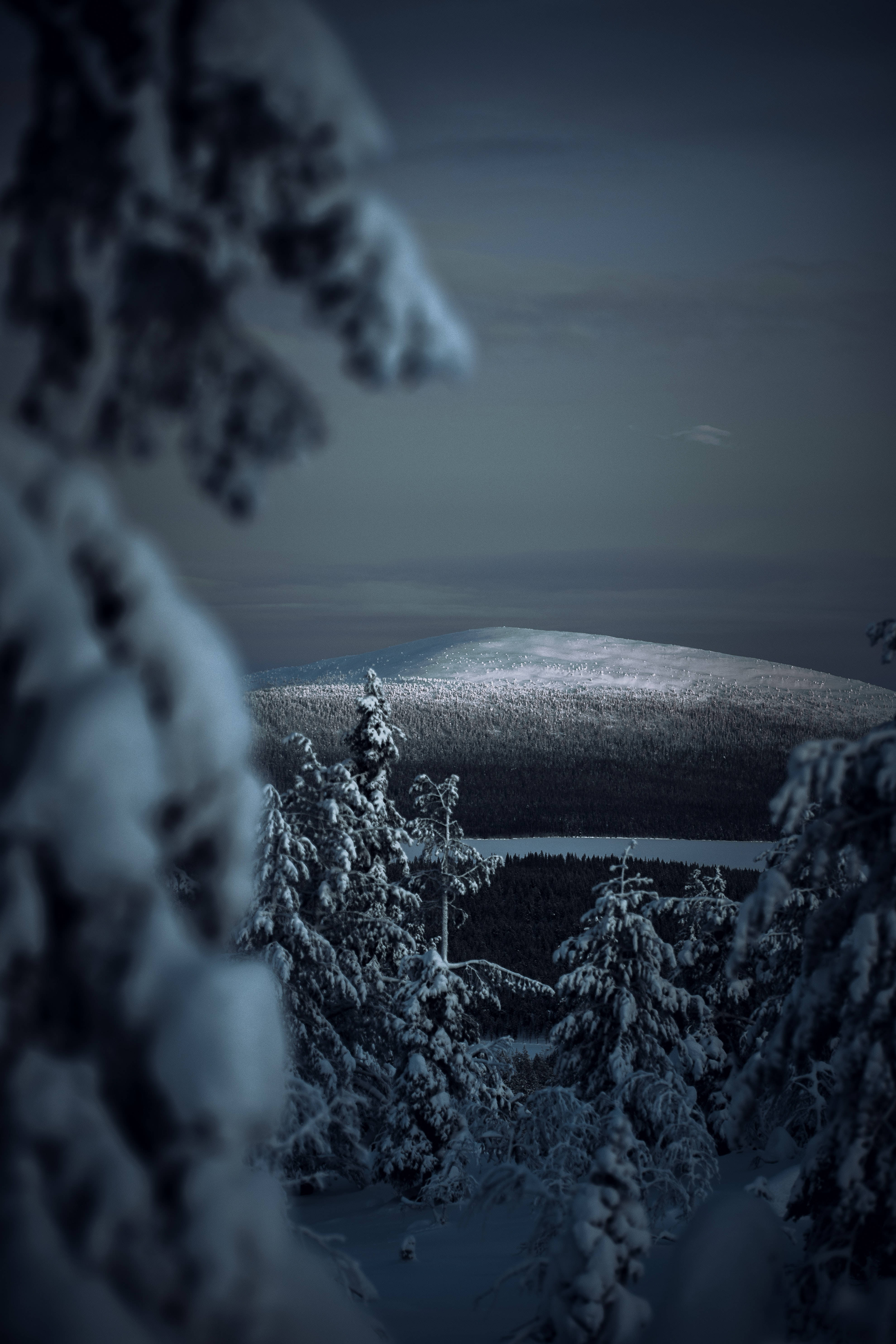 Coolest iPhone 桌布 壁紙 — 一個被雪覆蓋的樹枝框住的雪森林景色，俯瞰著冰凍的湖泊和遠山，在暮色天空下。