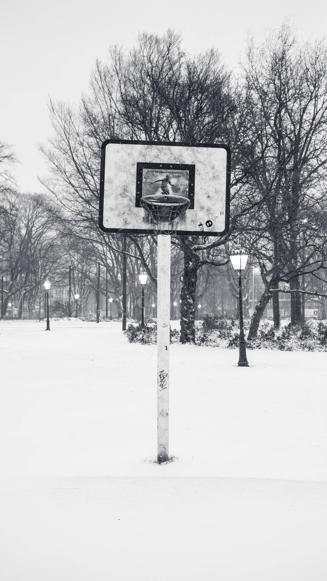 一個被雪覆蓋的籃球框，冬季公園，光禿禿的樹木和路燈。
