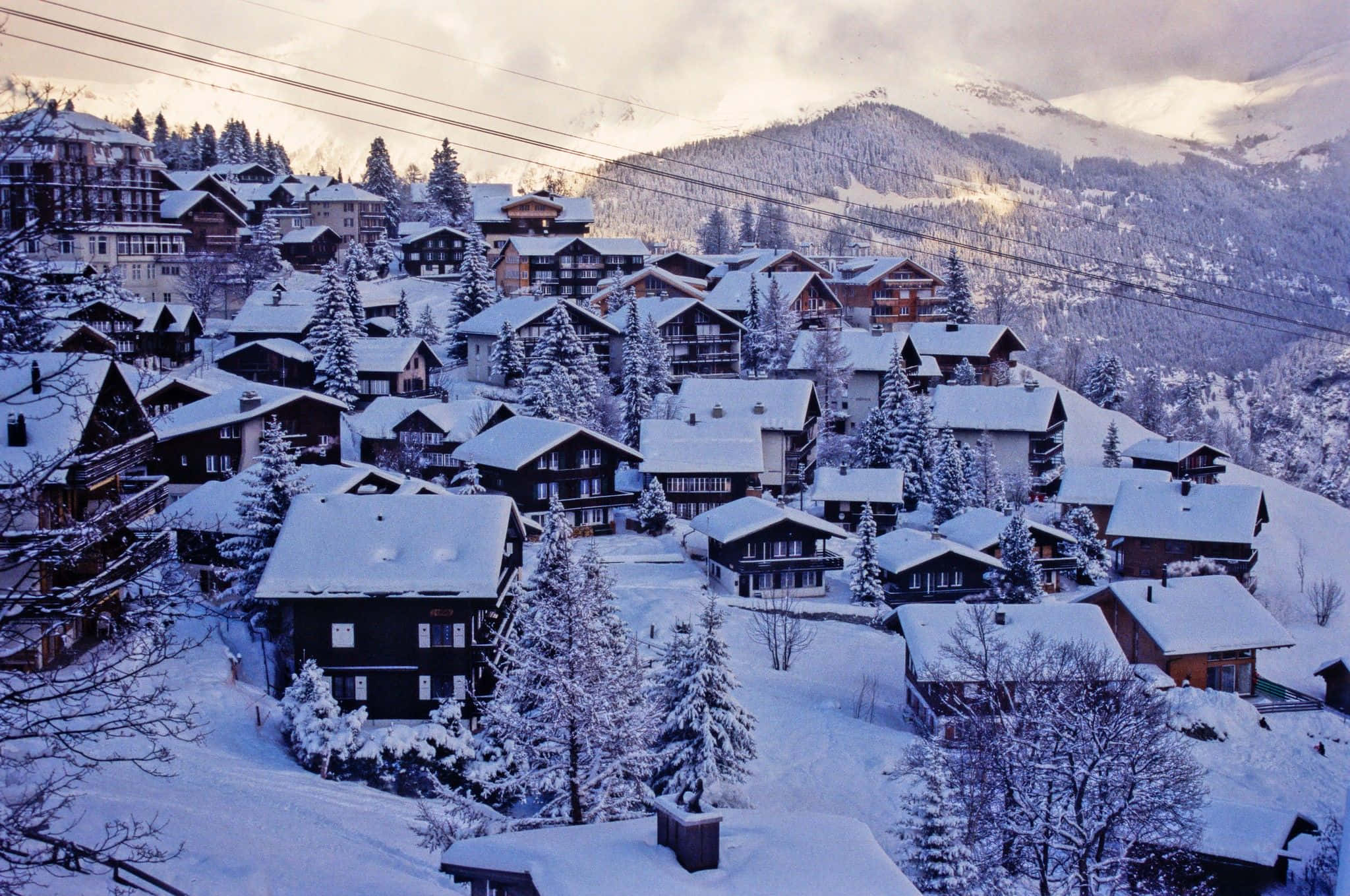 Snowy Village 桌布 壁紙 — 一個被雪覆蓋的阿爾卑斯山村，坐落在松樹之間，背景是山脈，在柔和的暮色天空下。