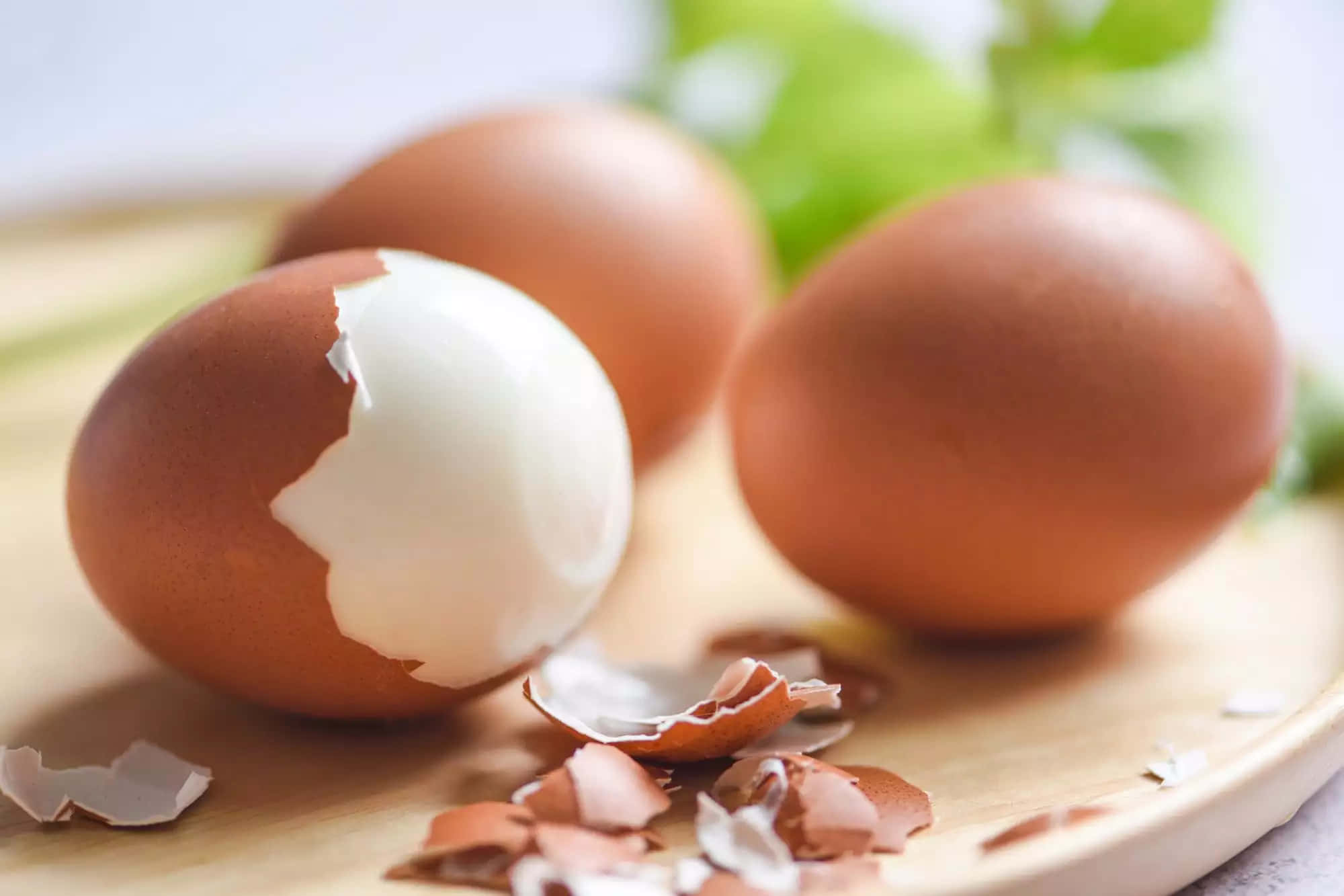Eggs 桌布 壁紙 — 一個裂開的棕色雞蛋露出白色內部，放在木板上，周圍散落著蛋殼碎片，背景有模糊的綠色香草。