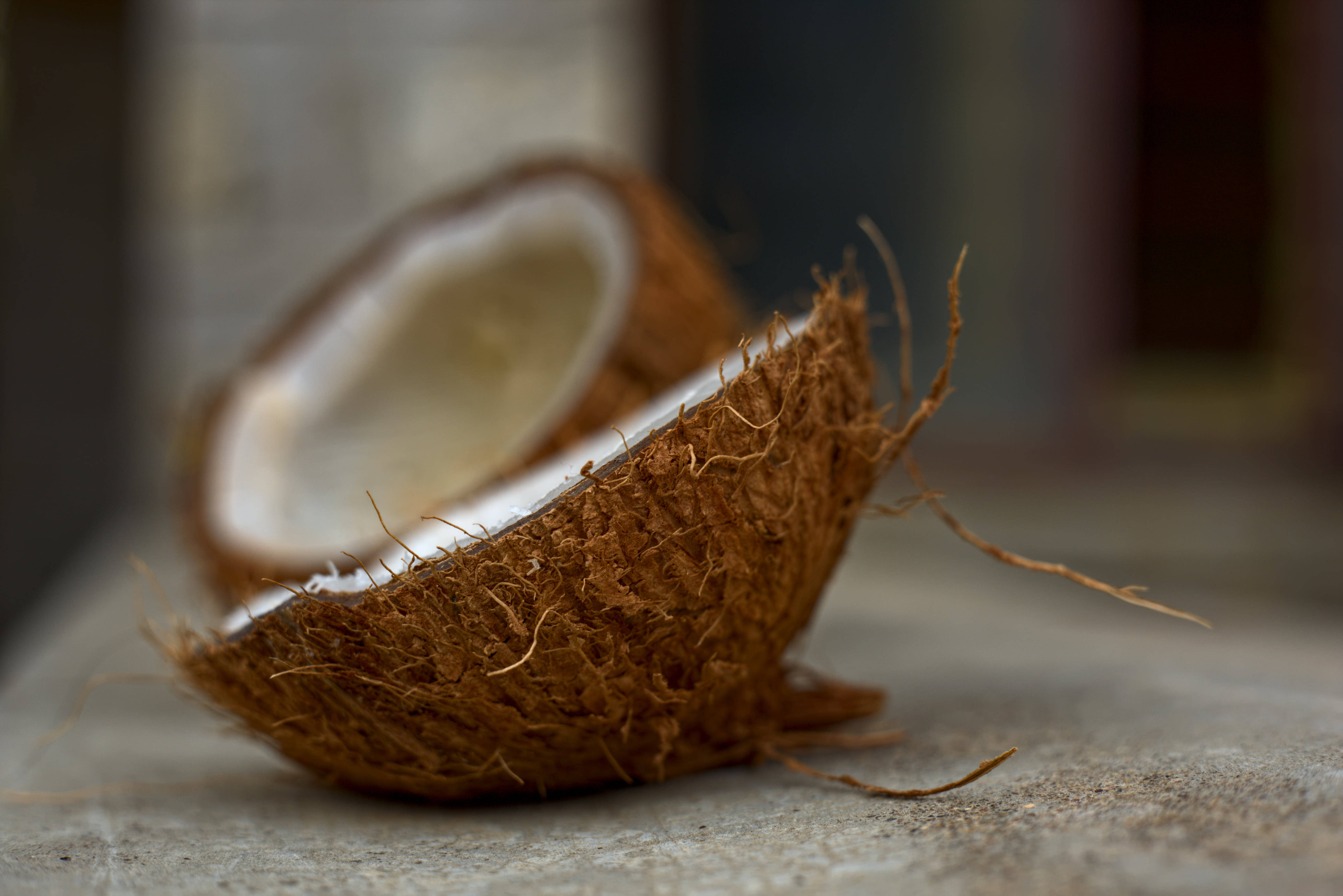 Coconut Tree 桌布 壁紙 — 一個裂開的椰子，帶有纖維狀的棕色外殼，放置在紋理混凝土表面上，具有柔和淺景深。
