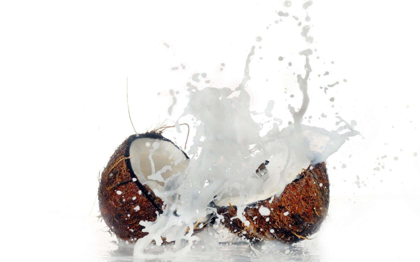 Coconut 桌布 壁紙 — 一個裂開的椰子在白色背景上爆開，讓奶油狀的牛奶以動態的飛濺方式飛散。