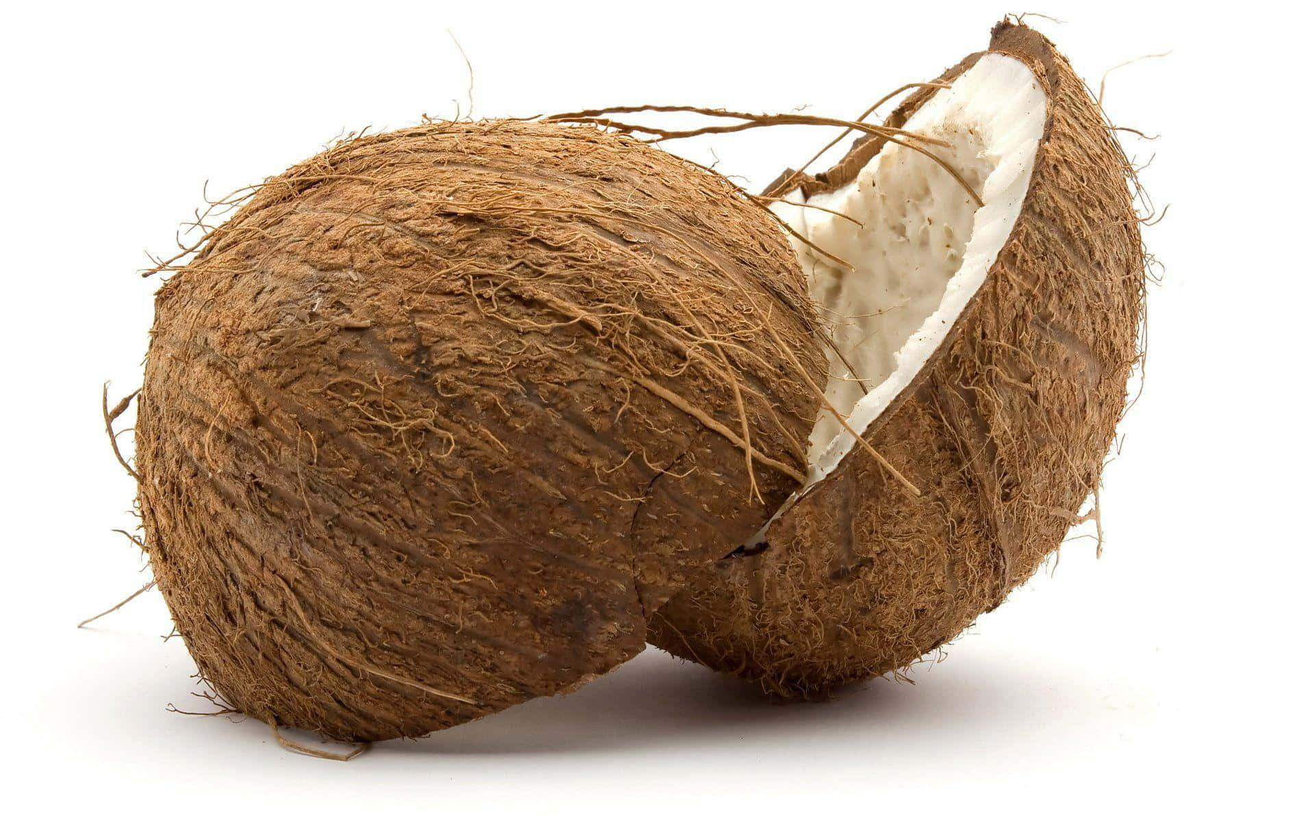 Coconut 桌布 壁紙 — 一個裂開的椰子在純白背景上露出白色果肉和纖維狀的棕色外殼。
