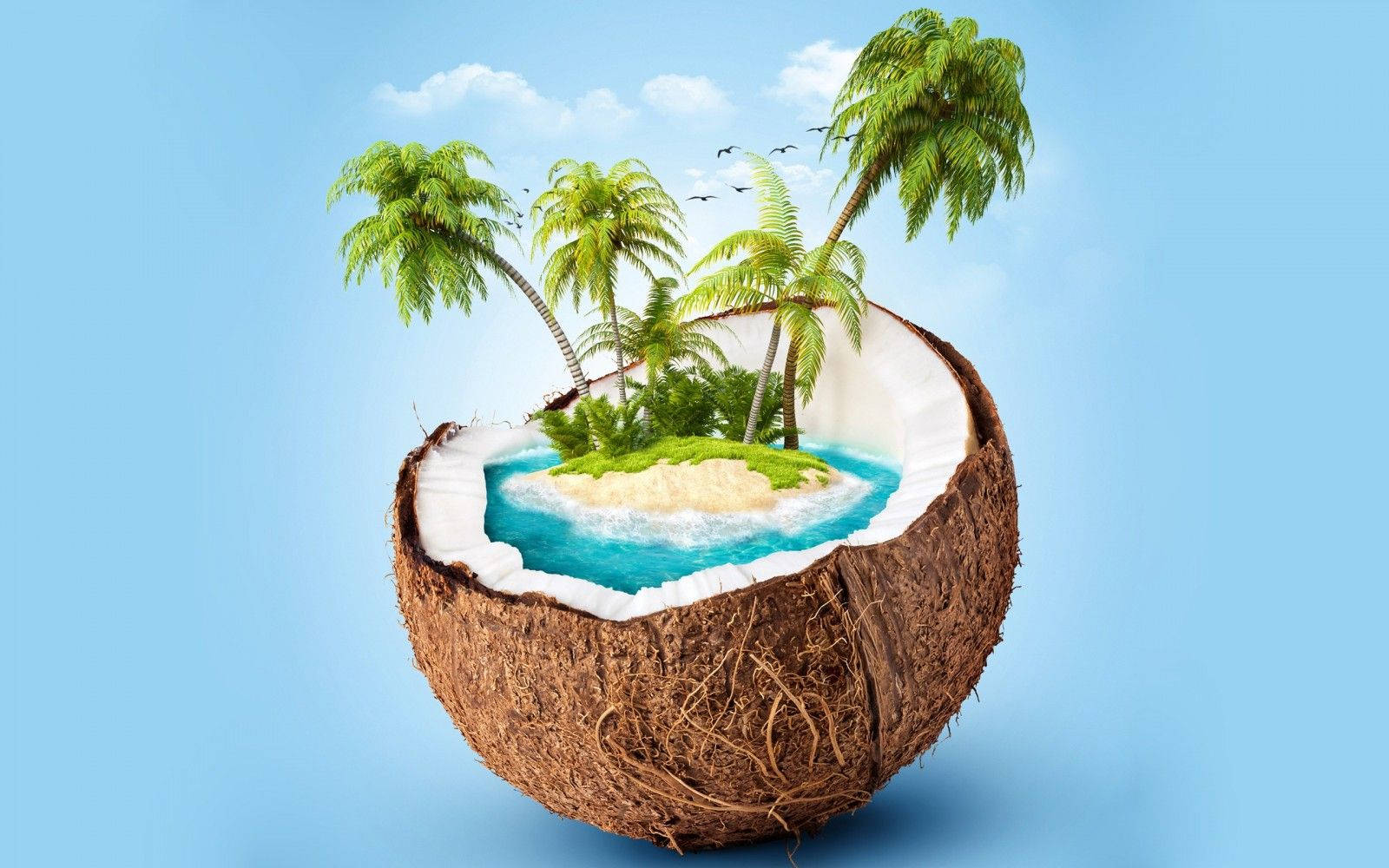 海洋 桌布 壁紙 — 一個裂開的椰子殼懷抱著一個微型熱帶島嶼，島上有棕櫚樹、碧綠的海水和白色的沙灘，在明亮的藍天下。