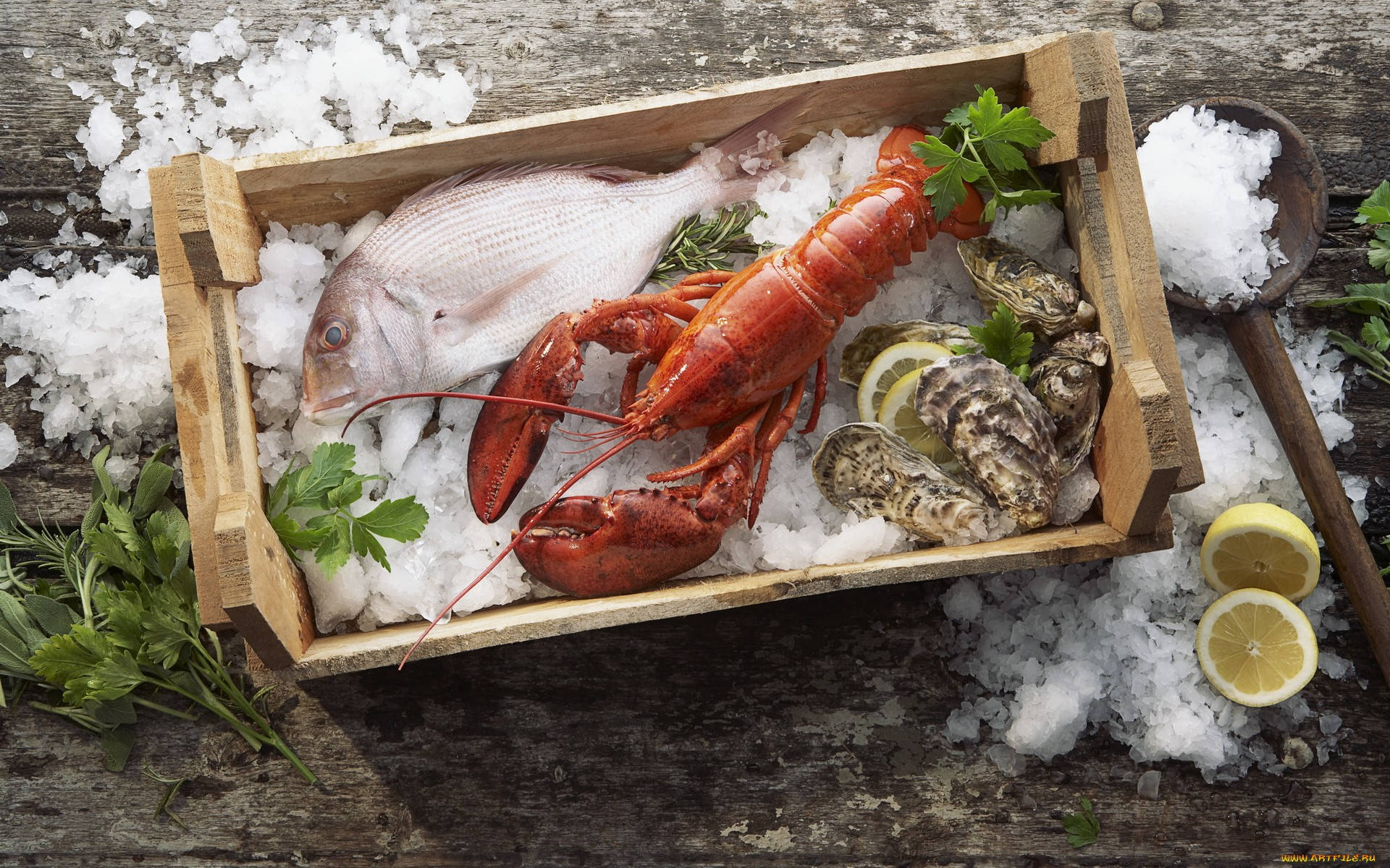 Seafood 桌布 壁紙 — 一個裝滿冰塊的木箱裡，放著一隻鮮紅的龍蝦、一整條魚和生蠔，上面裝飾著歐芹和檸檬，放在質樸的木質表面上。
