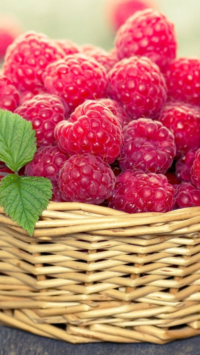 Fruit 桌布 壁紙 — 一個裝滿多汁覆盆子和一片綠葉的籃子，背景柔和模糊。