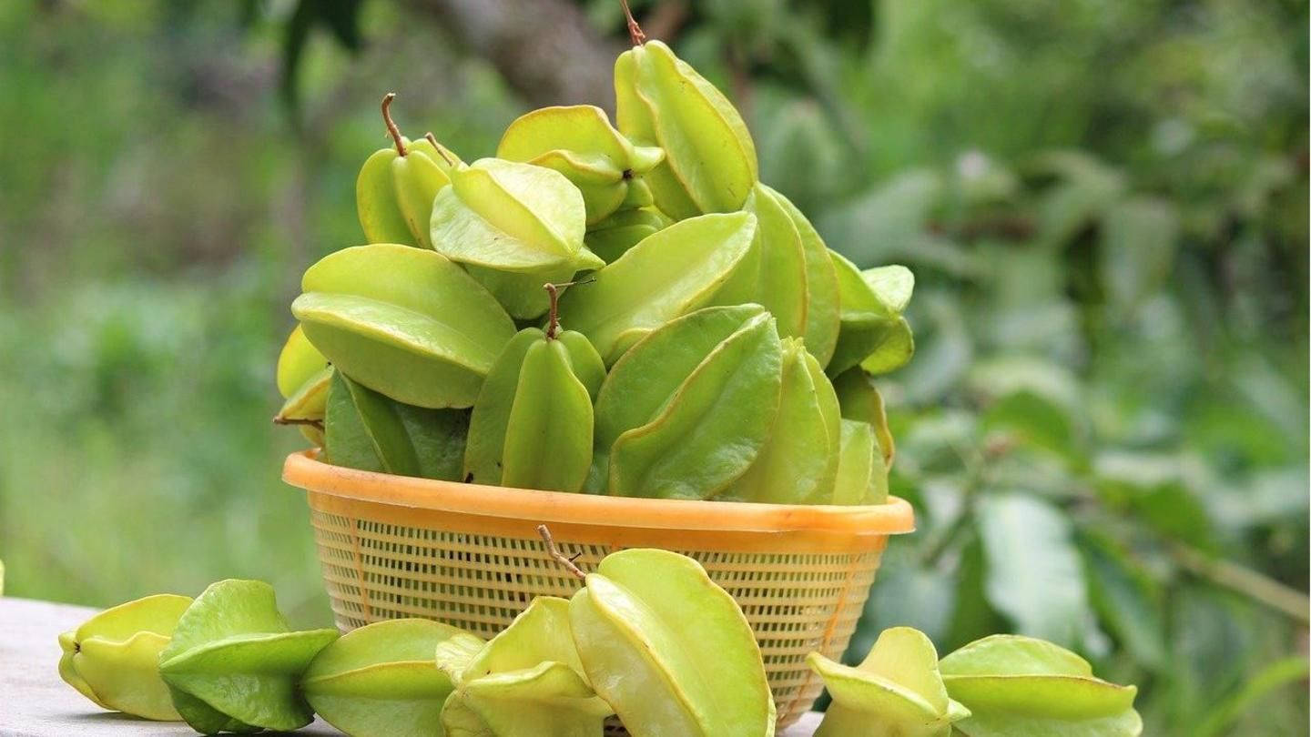 Fruits 桌布 壁紙 — 一個裝滿新鮮綠色楊桃的籃子放在木質表面上，背景是鬱鬱蔥蔥的花園。