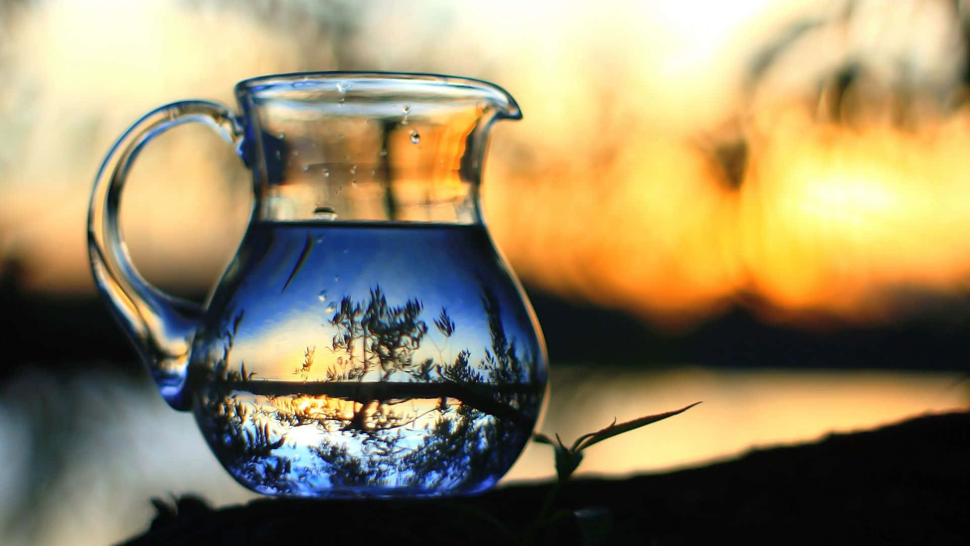 Glass Of Water 桌布 壁紙 — 一個裝滿水的玻璃壺，在溫暖模糊的背景上反射出金色的日落和剪影樹木。