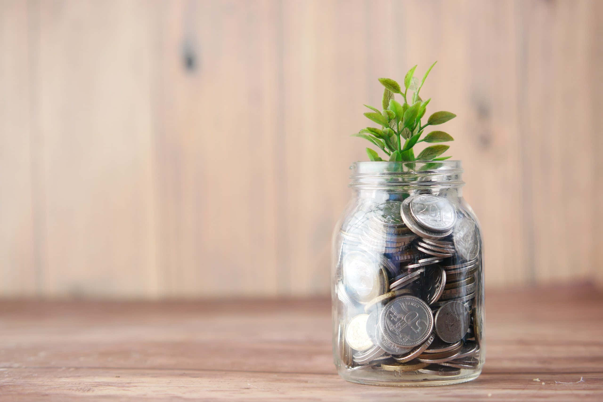 Green Finance 桌布 壁紙 — 一個裝滿硬幣的玻璃罐，在溫暖的木質背景上長出一株充滿活力的綠色植物。
