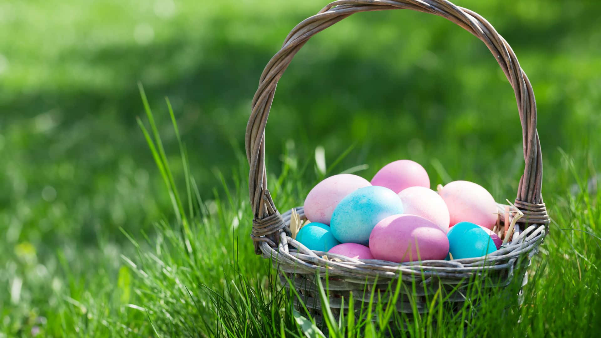 Easter Basket 桌布 壁紙 — 一個裝滿粉彩復活節彩蛋的柳條籃子，在明亮的陽光下放在鮮綠色的草地上。