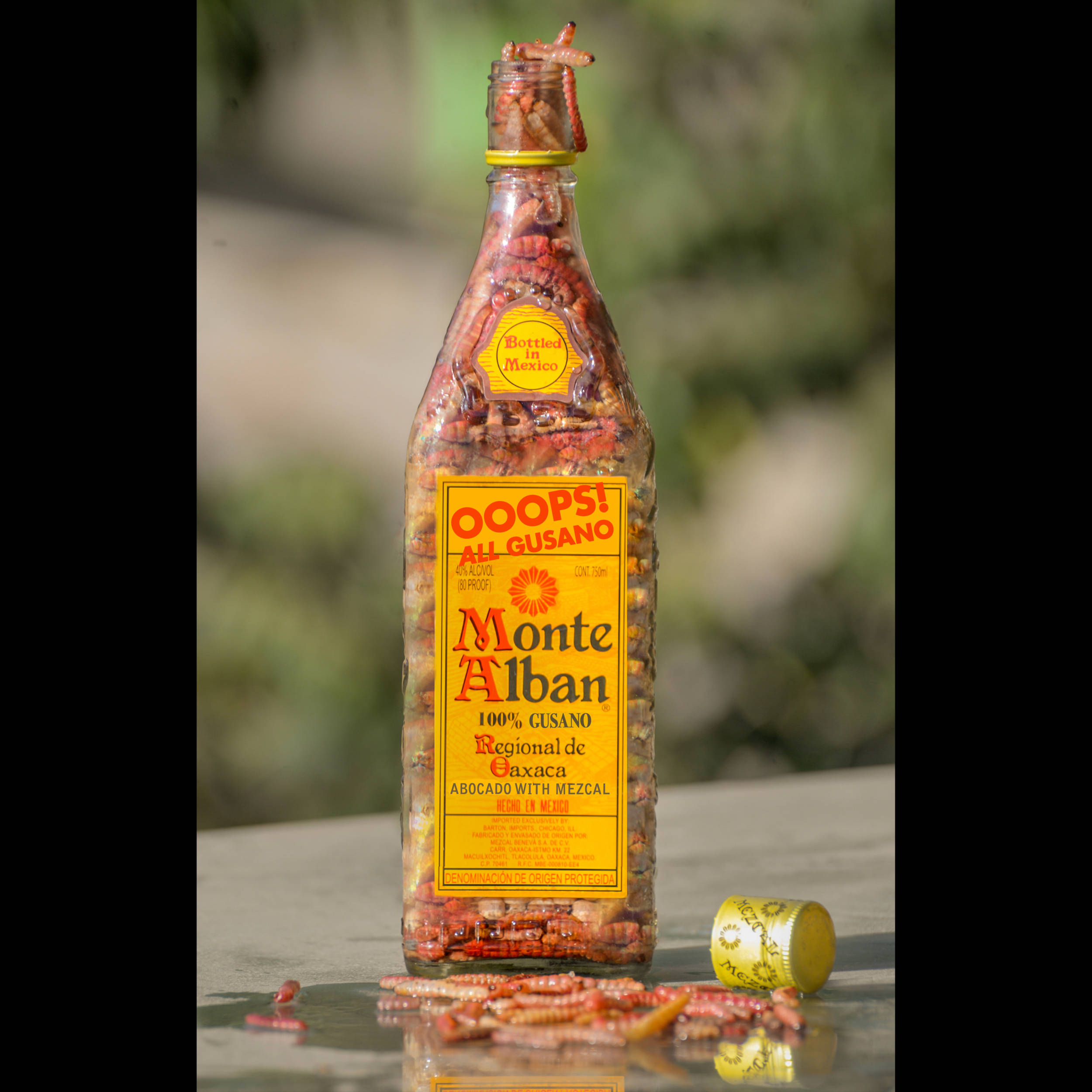 Drink 桌布 壁紙 — 一個裝滿紅色古薩諾蠕蟲的瓶子放在戶外的桌子上，在明亮的陽光下。