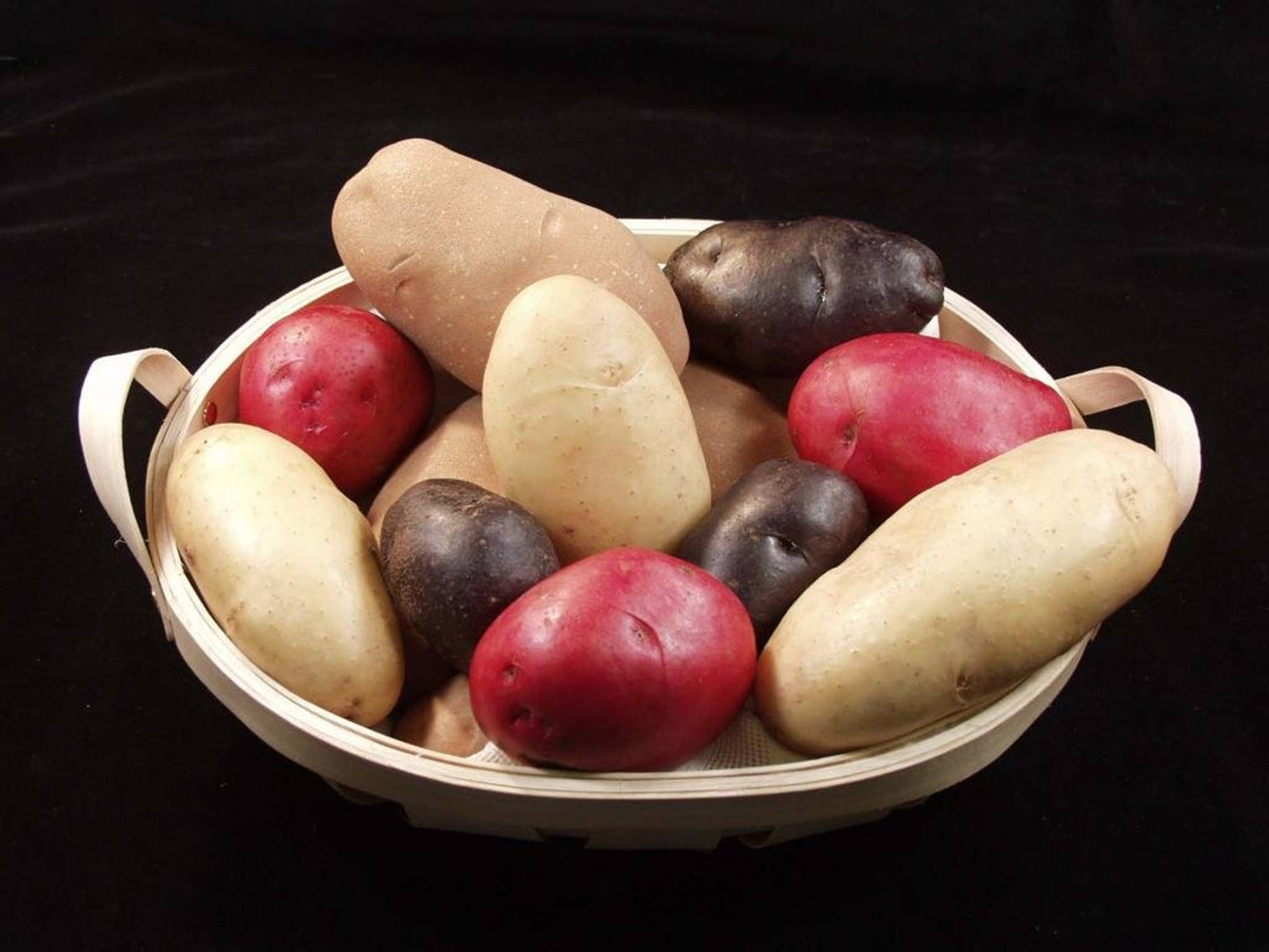 Potato 桌布 壁紙 — 一個裝滿色彩繽紛的紅色、白色和紫色馬鈴薯的籃子，襯托在純黑背景上。