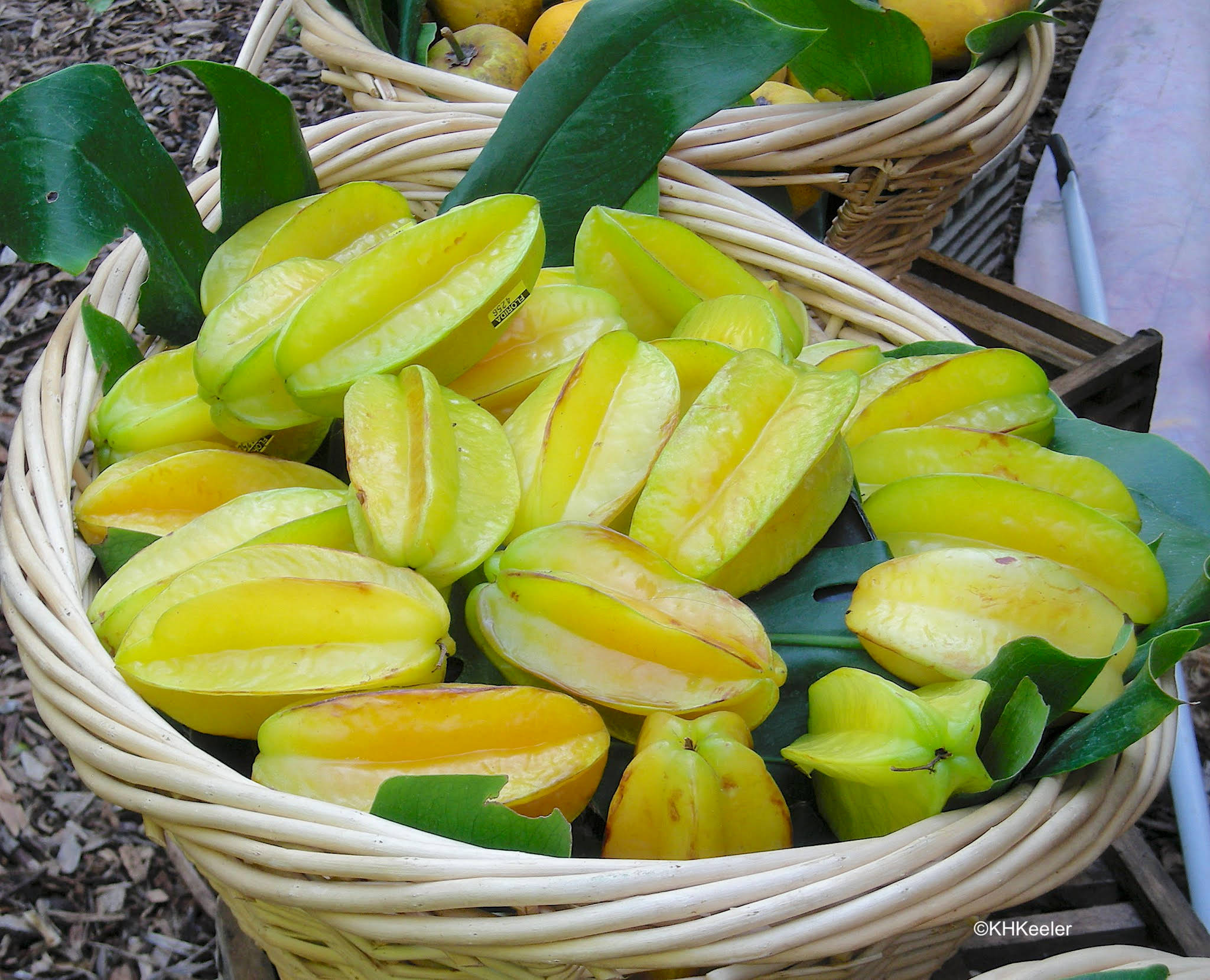 Fruit 桌布 壁紙 — 一個裝滿鮮黃色楊桃片的籃子，藏在茂密的綠葉之間。