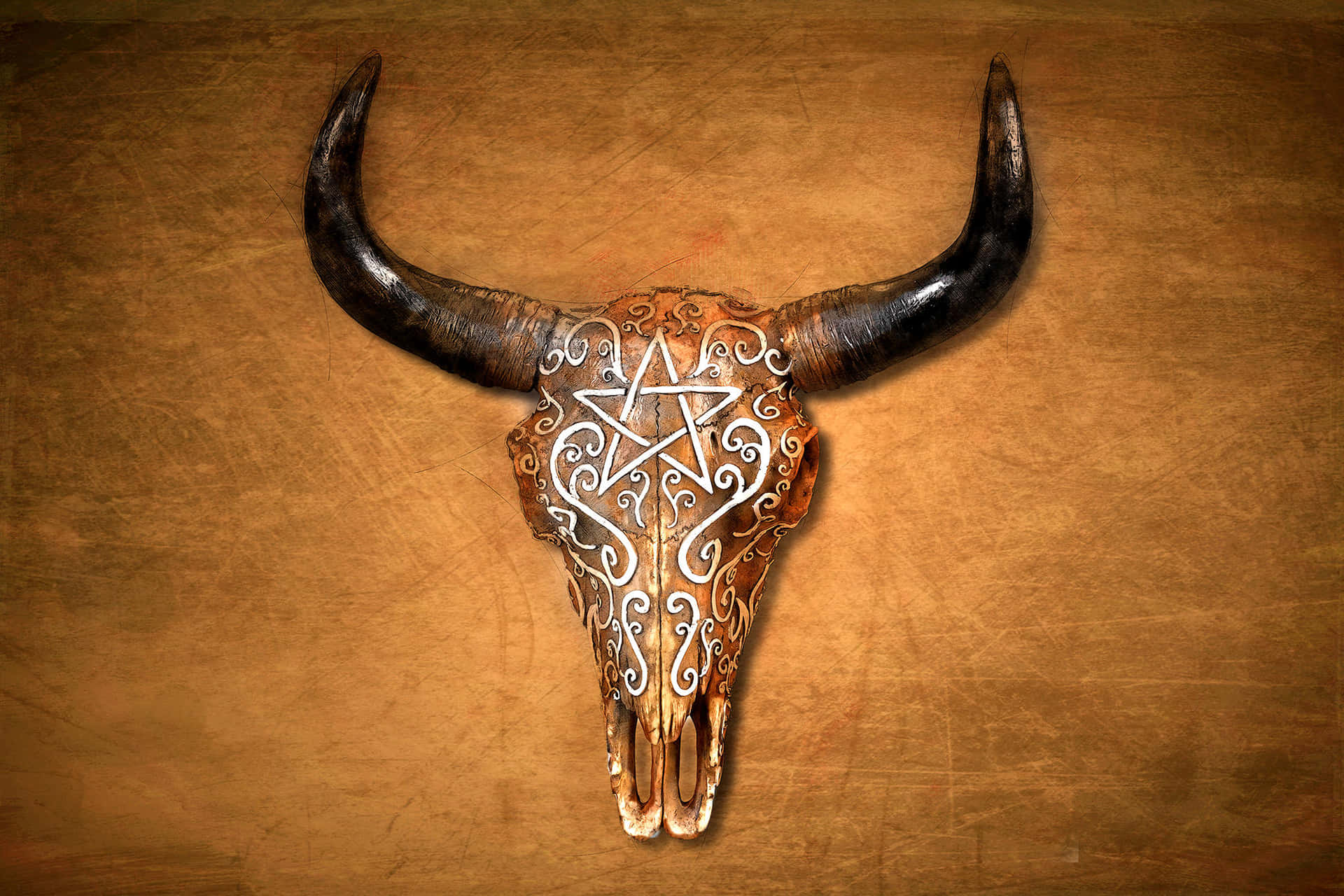 Cow Skull 桌布 壁紙 — 一個裝飾精細的公牛頭骨，帶有五角星和漩渦圖案，掛在帶有紋理的棕色皮革背景上。