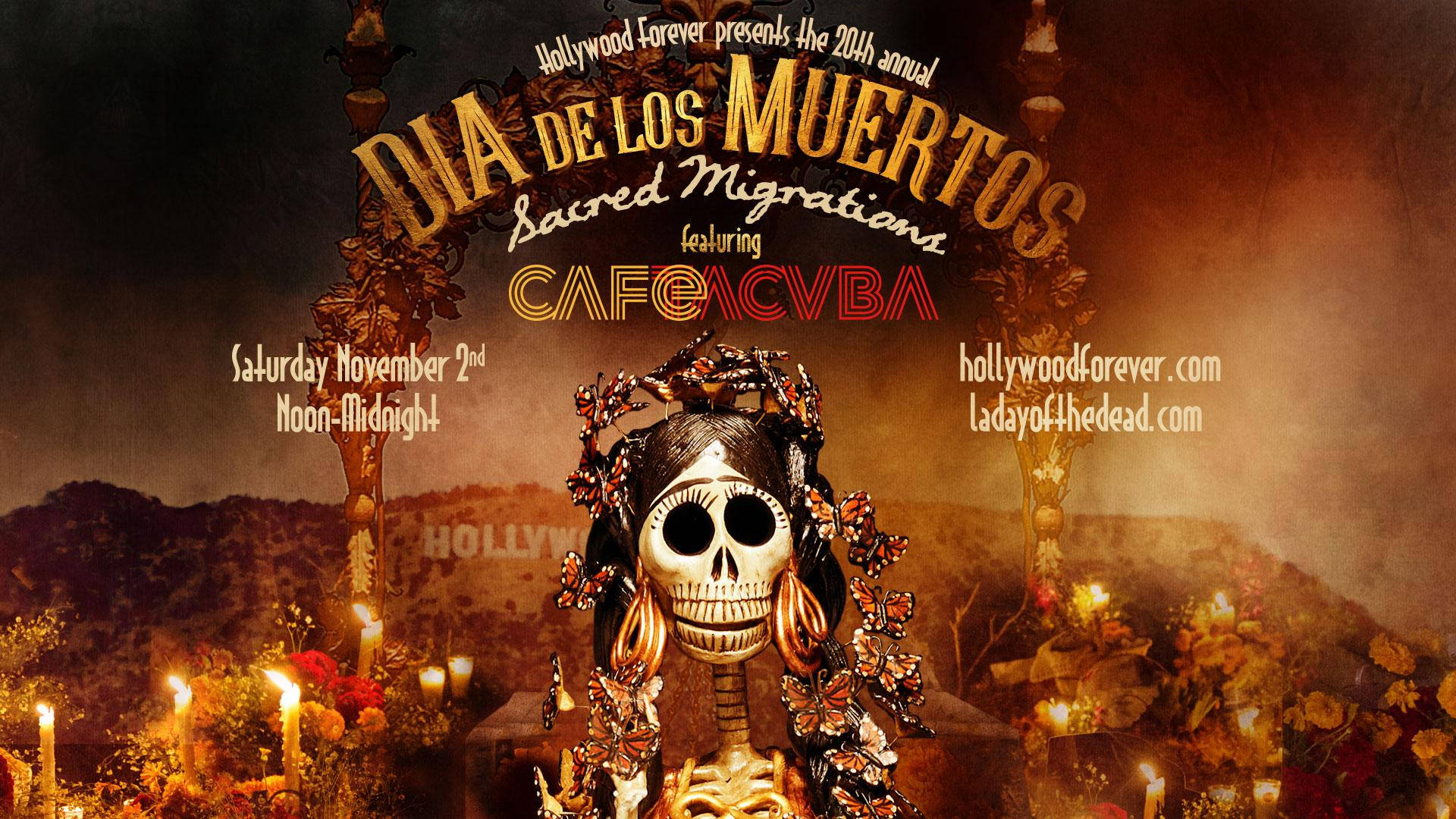 Dia De Los Muertos 桌布 壁紙 — 一個裝飾著花朵和蝴蝶的頭骨，在黑暗的天空下，站在燭光祭壇前，慶祝亡靈節（Dia de los Muertos）。