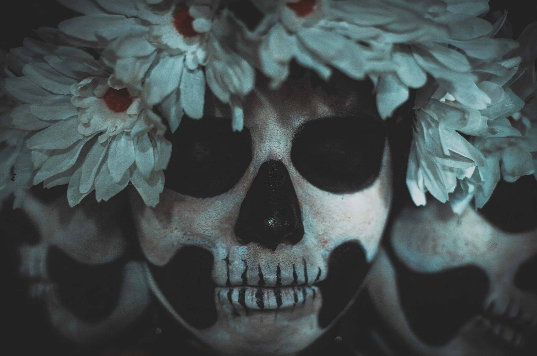 Life And Death 桌布 壁紙 — 一個裝飾過的頭骨特寫，上面點綴著白色雛菊，背景為深色。